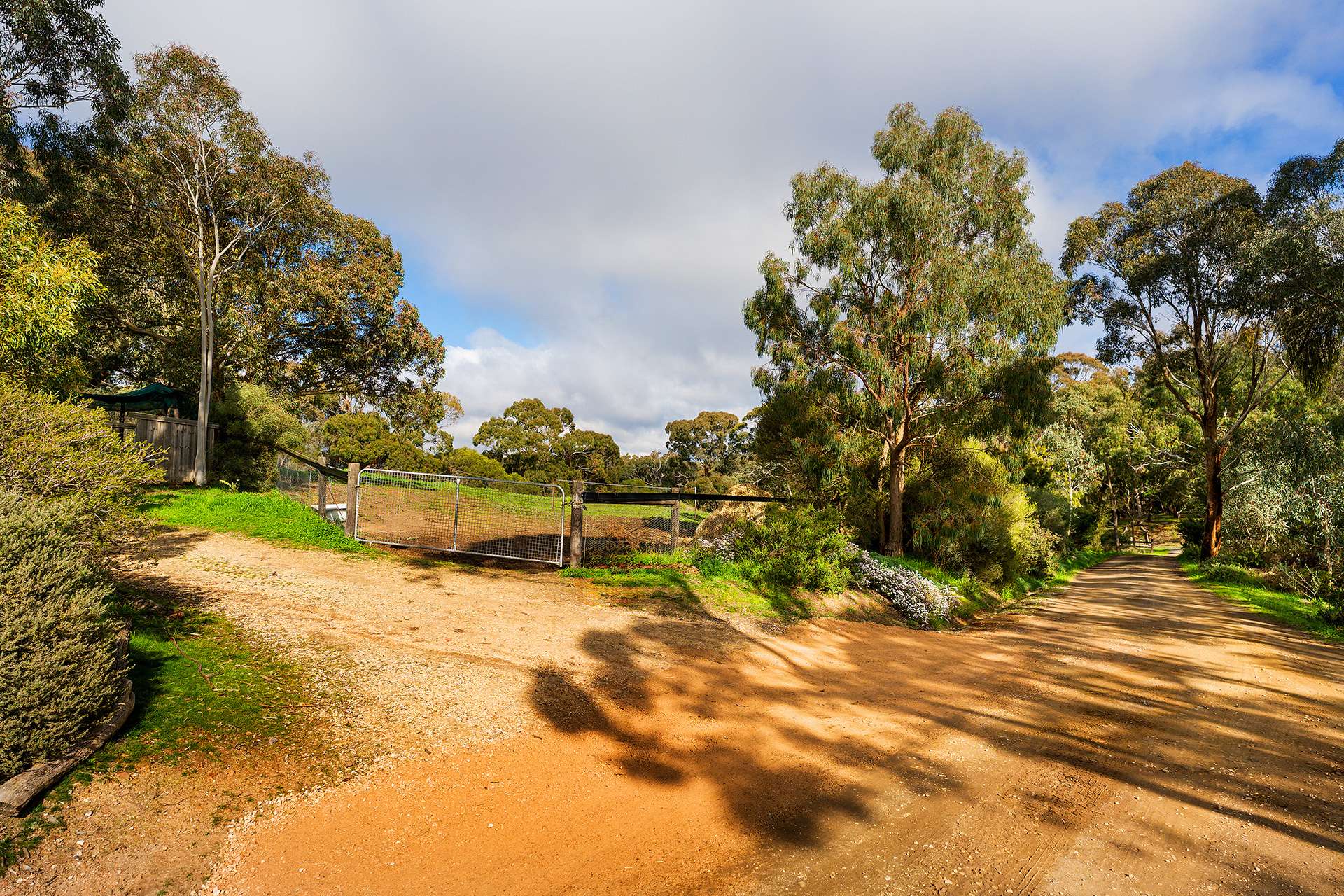 91 Wright Street, Elphinstone For Sale by Farmbuy.com - image 21
