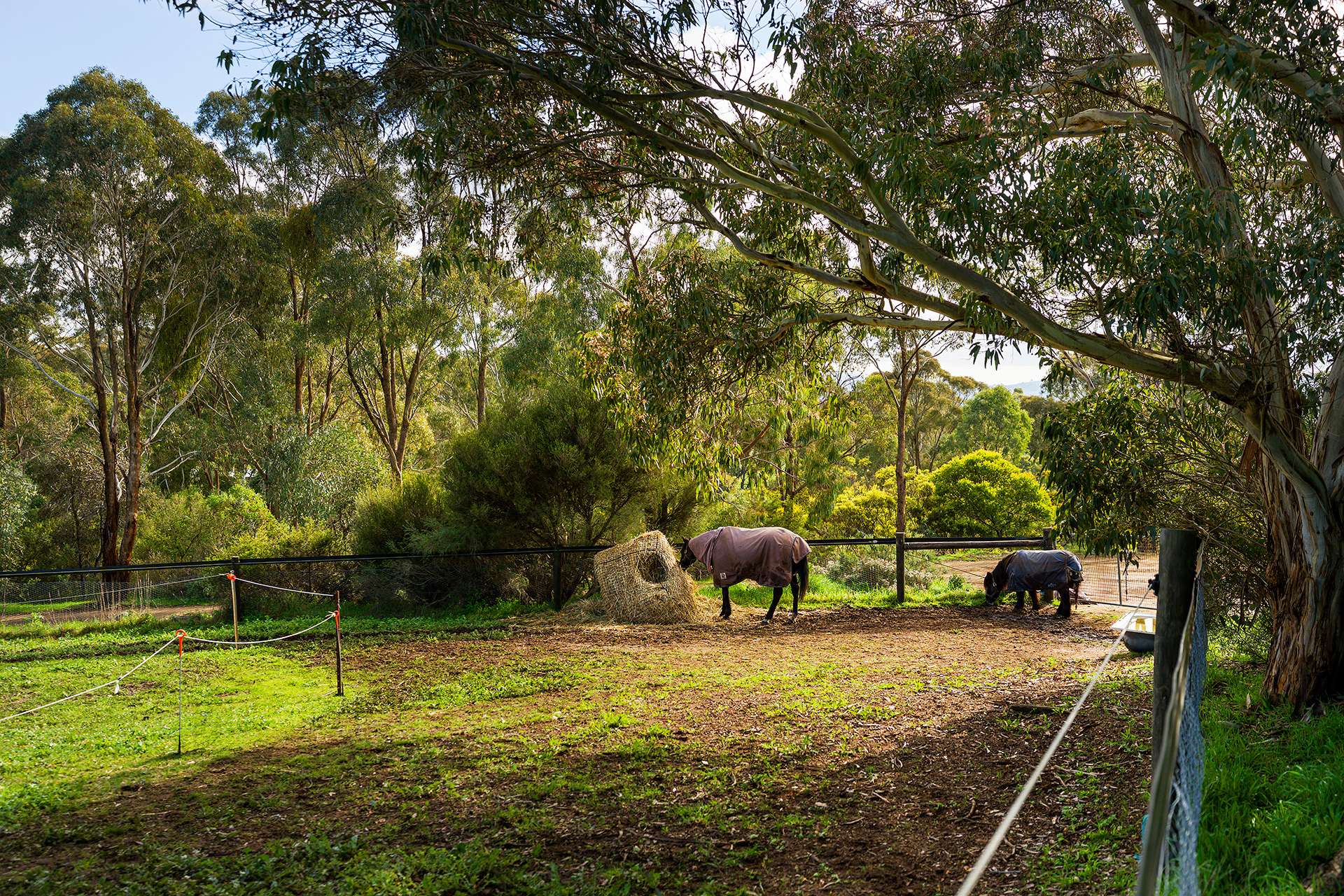 91 Wright Street, Elphinstone For Sale by Farmbuy.com - image 16