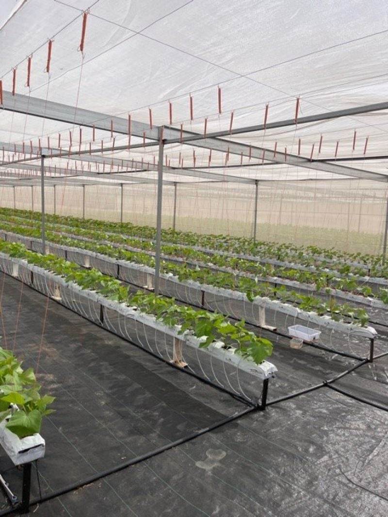 Marrakai For Sale by Farmbuy.com - image 6