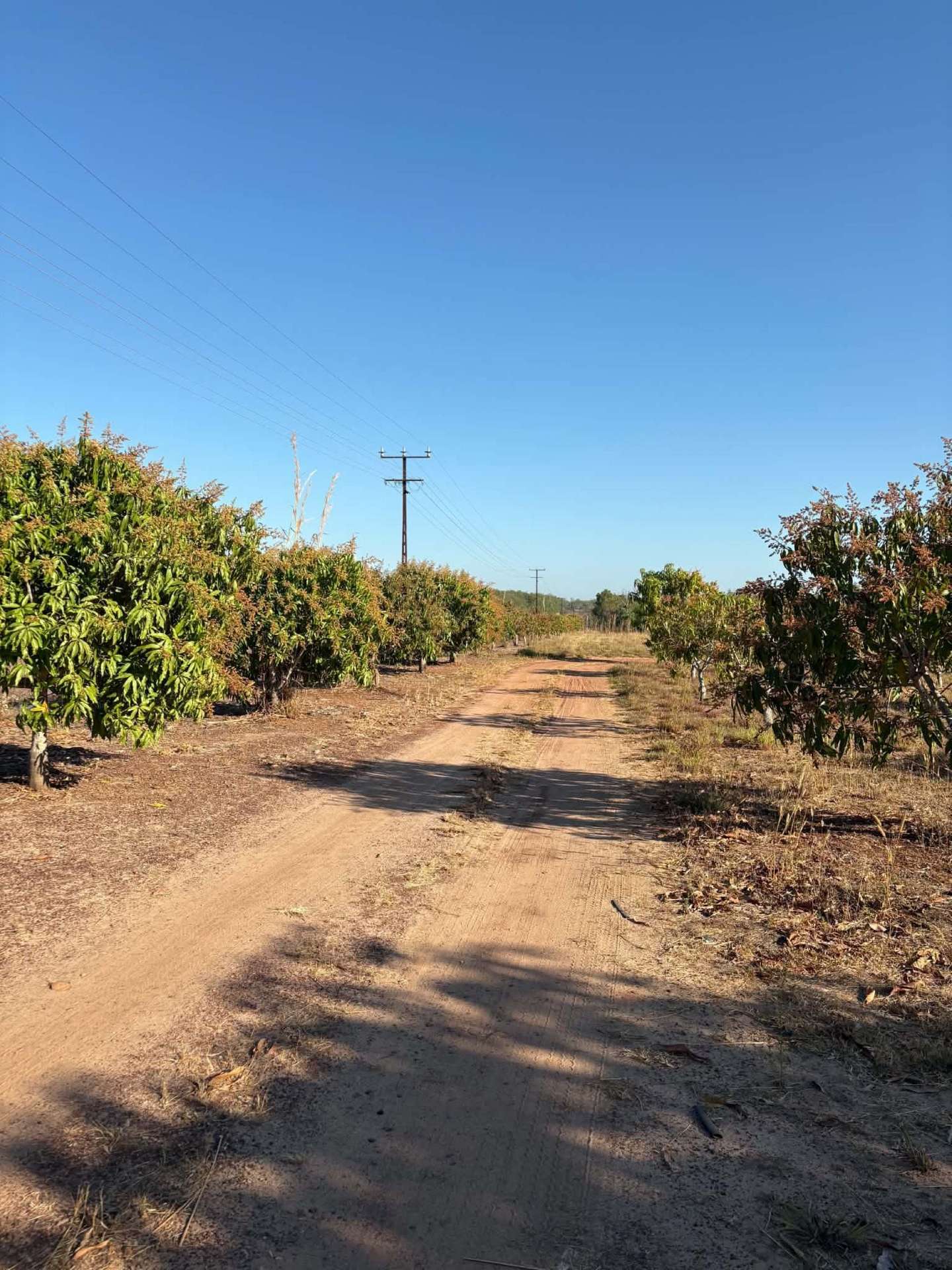 Marrakai For Sale by Farmbuy.com - image 9
