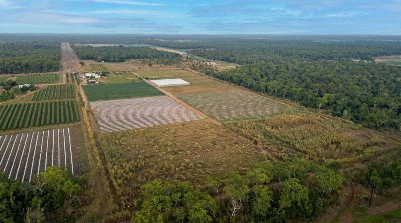 Marrakai For Sale by Farmbuy.com - image 3