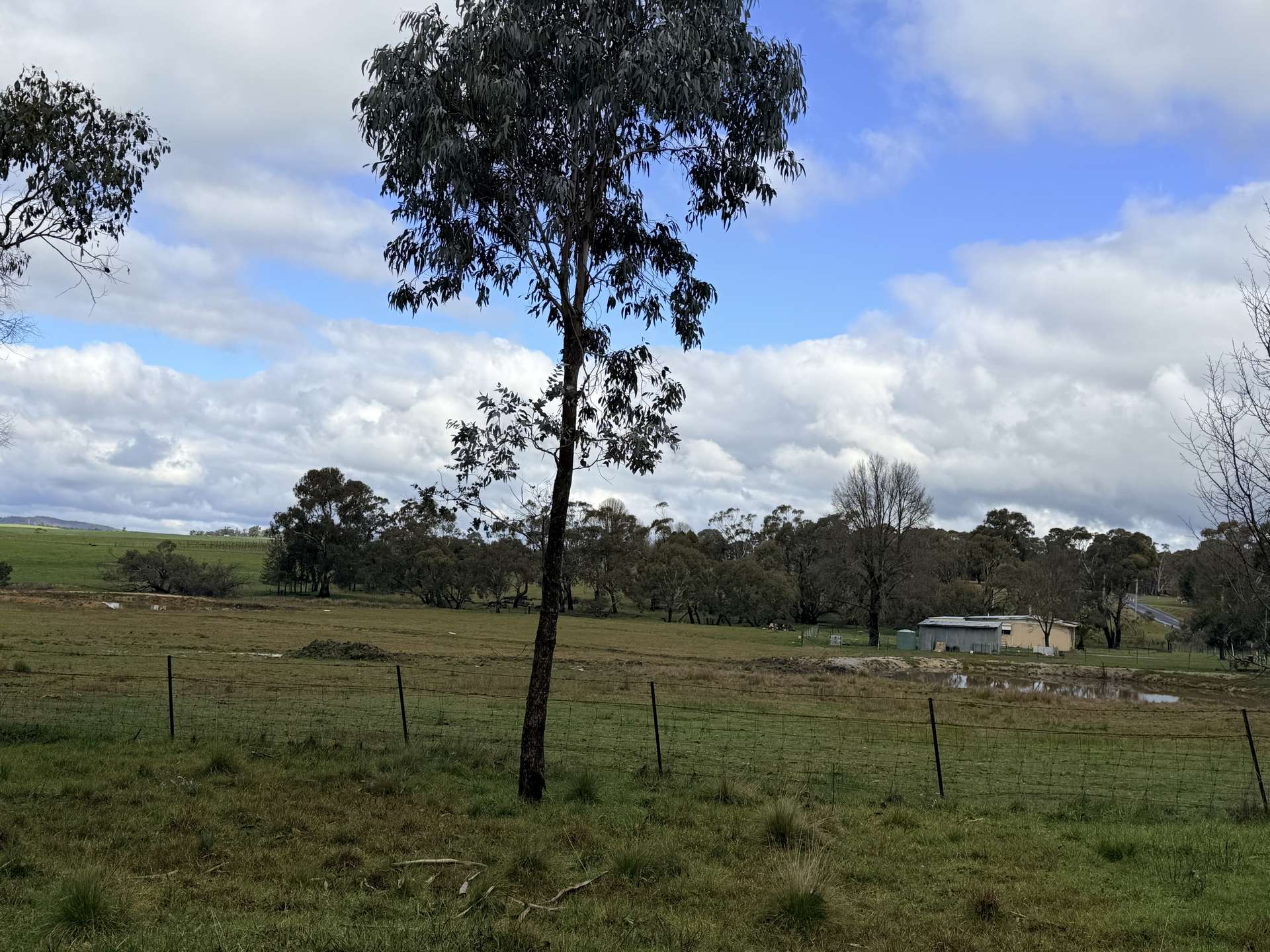 105 Coppabella Road, Rosewood For Sale by Farmbuy.com - image 16