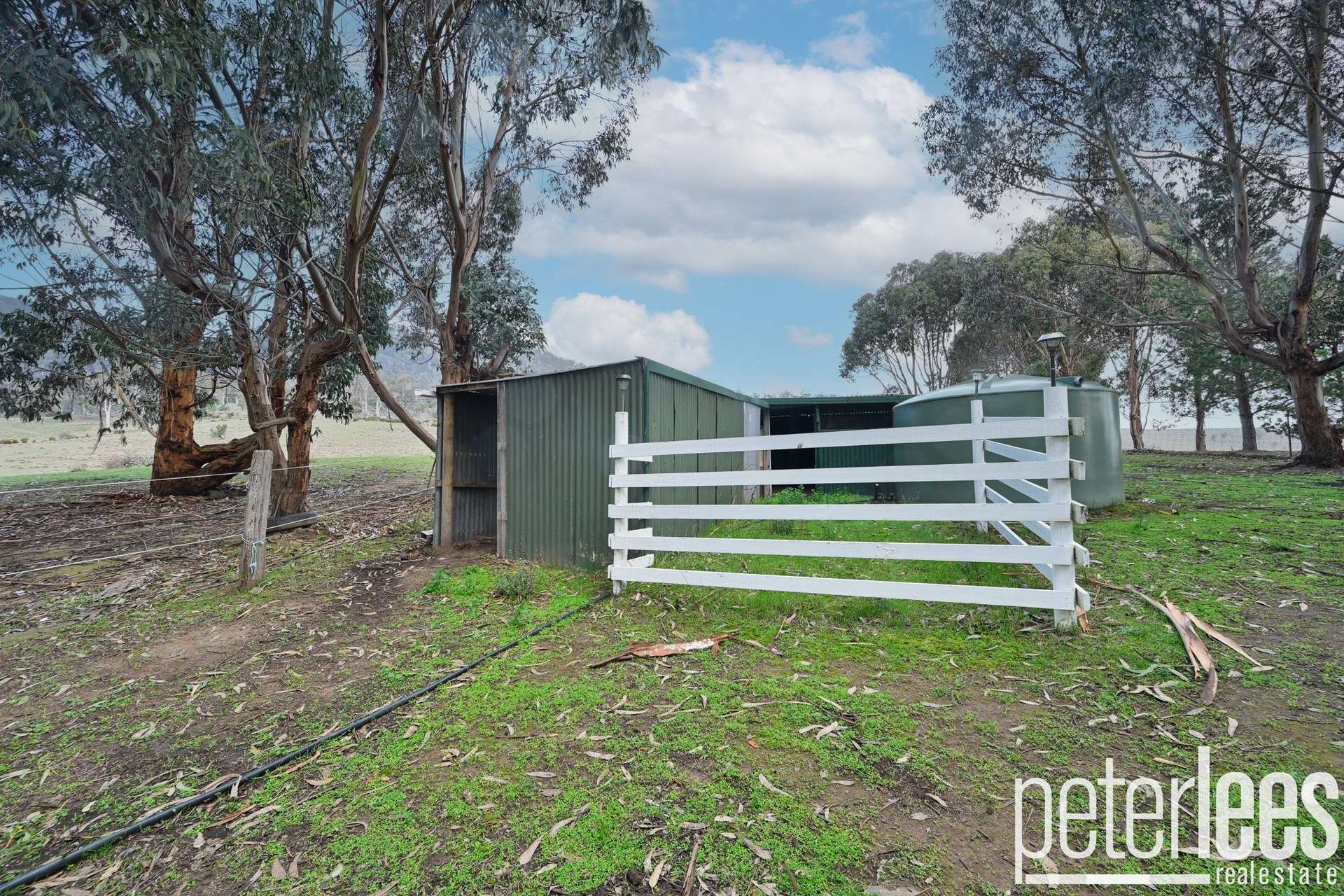 Lot 1 Robert Street, Fingal For Sale by Farmbuy.com - image 28
