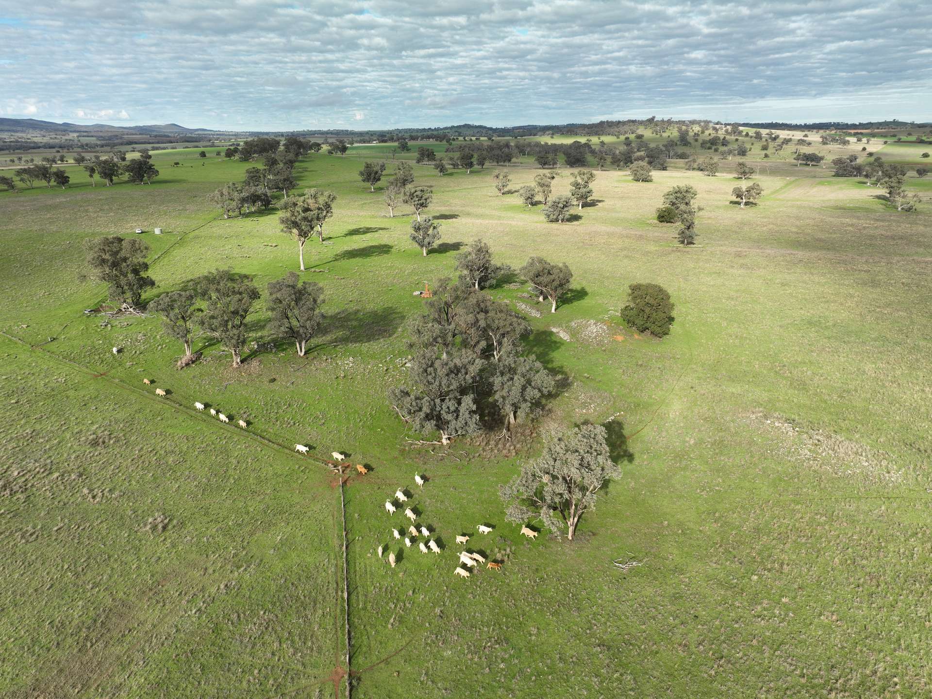 'Ridgeview' 632 Curra Creek Road, Curra Creek For Sale by Farmbuy.com - image 26