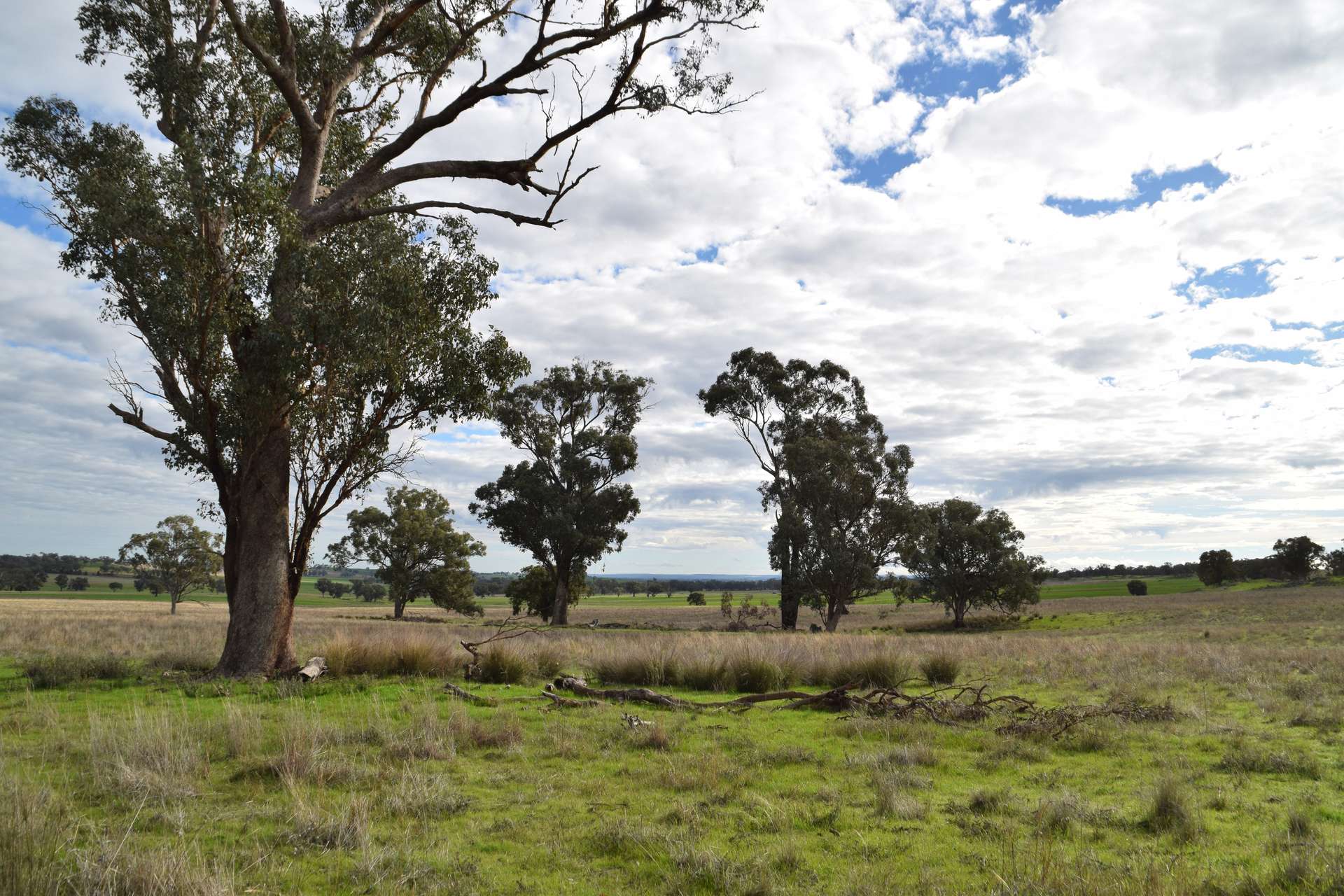 'Ridgeview' 632 Curra Creek Road, Curra Creek For Sale by Farmbuy.com - image 4