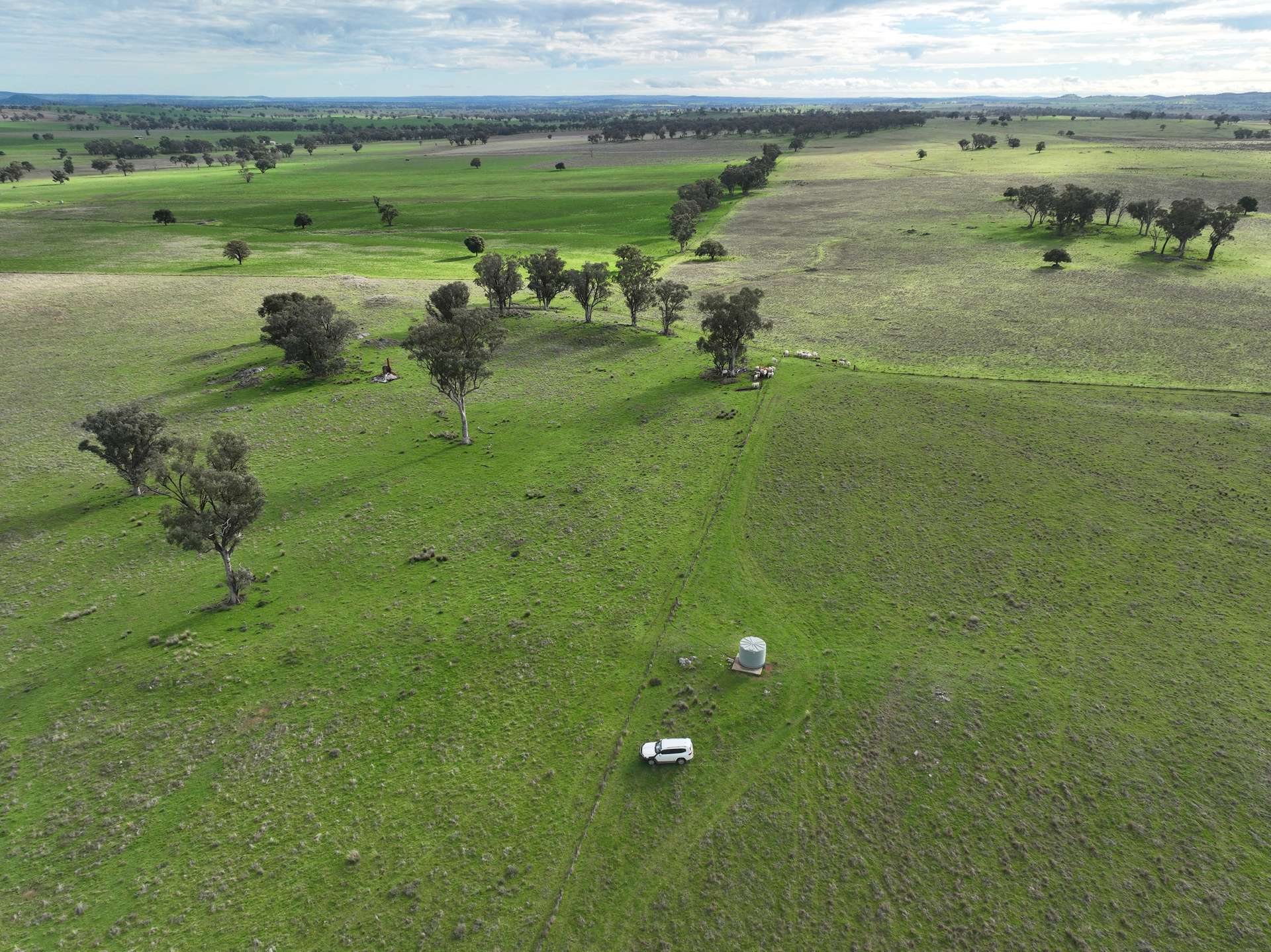 'Ridgeview' 632 Curra Creek Road, Curra Creek For Sale by Farmbuy.com - image 12