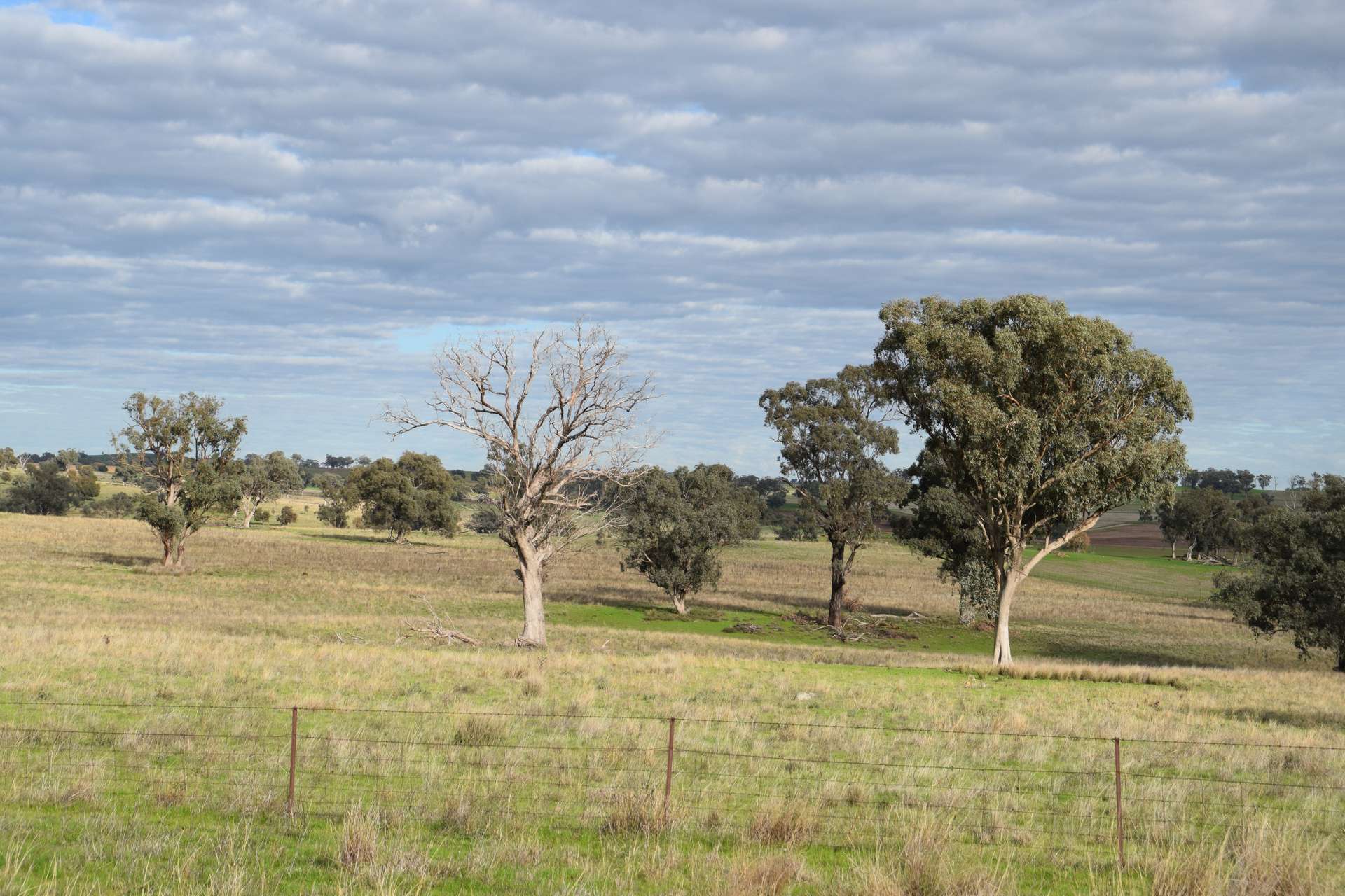 'Ridgeview' 632 Curra Creek Road, Curra Creek For Sale by Farmbuy.com - image 8