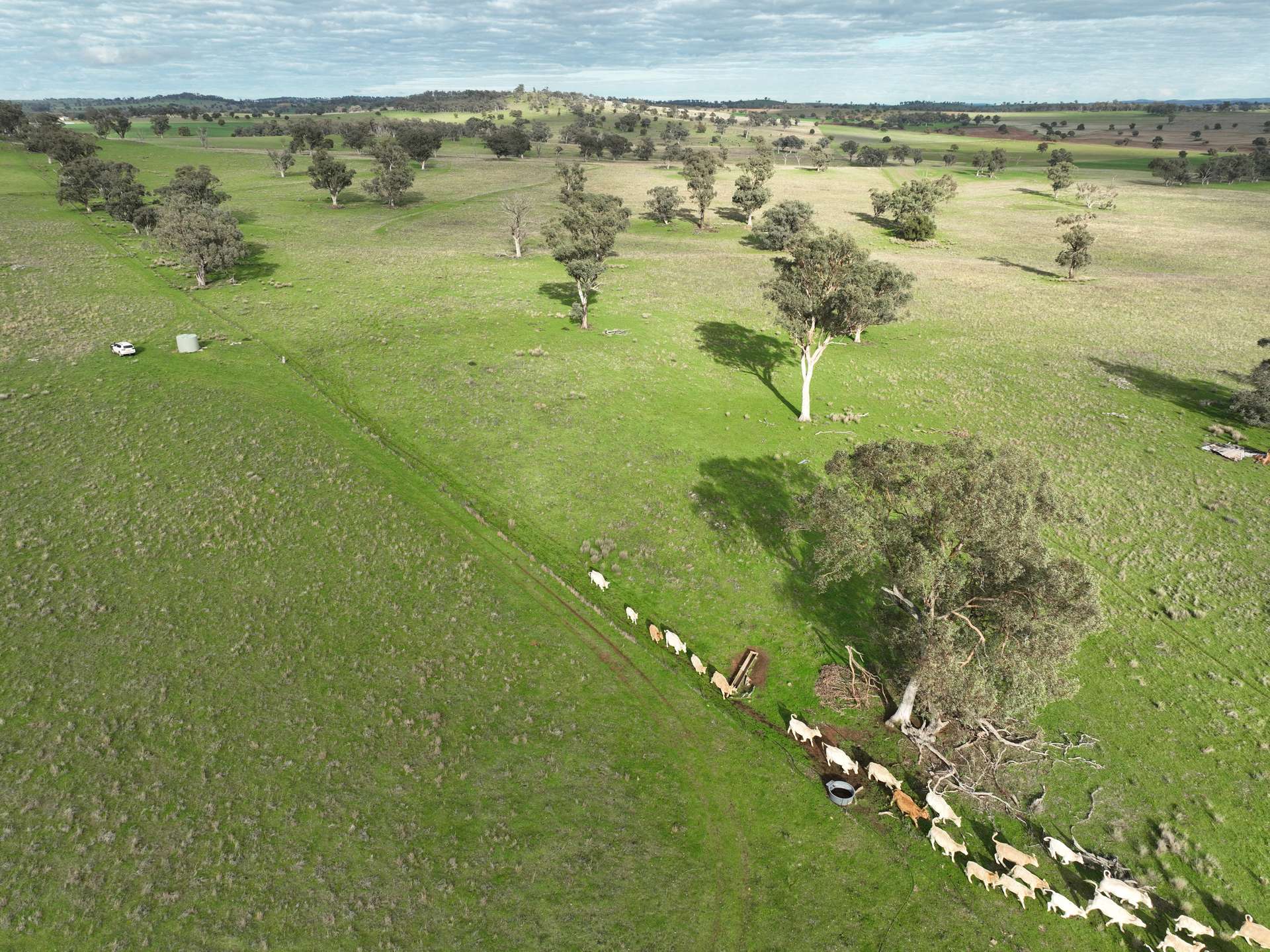 'Ridgeview' 632 Curra Creek Road, Curra Creek For Sale by Farmbuy.com - image 25