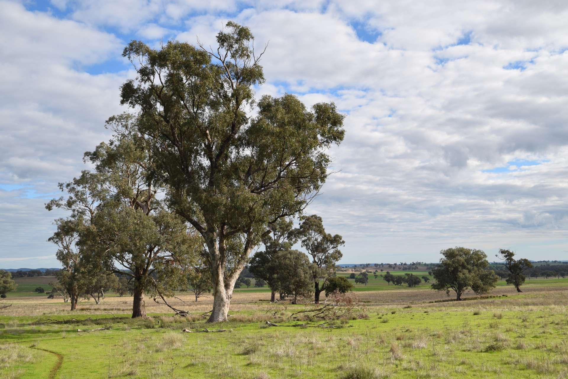 'Ridgeview' 632 Curra Creek Road, Curra Creek For Sale by Farmbuy.com - image 5
