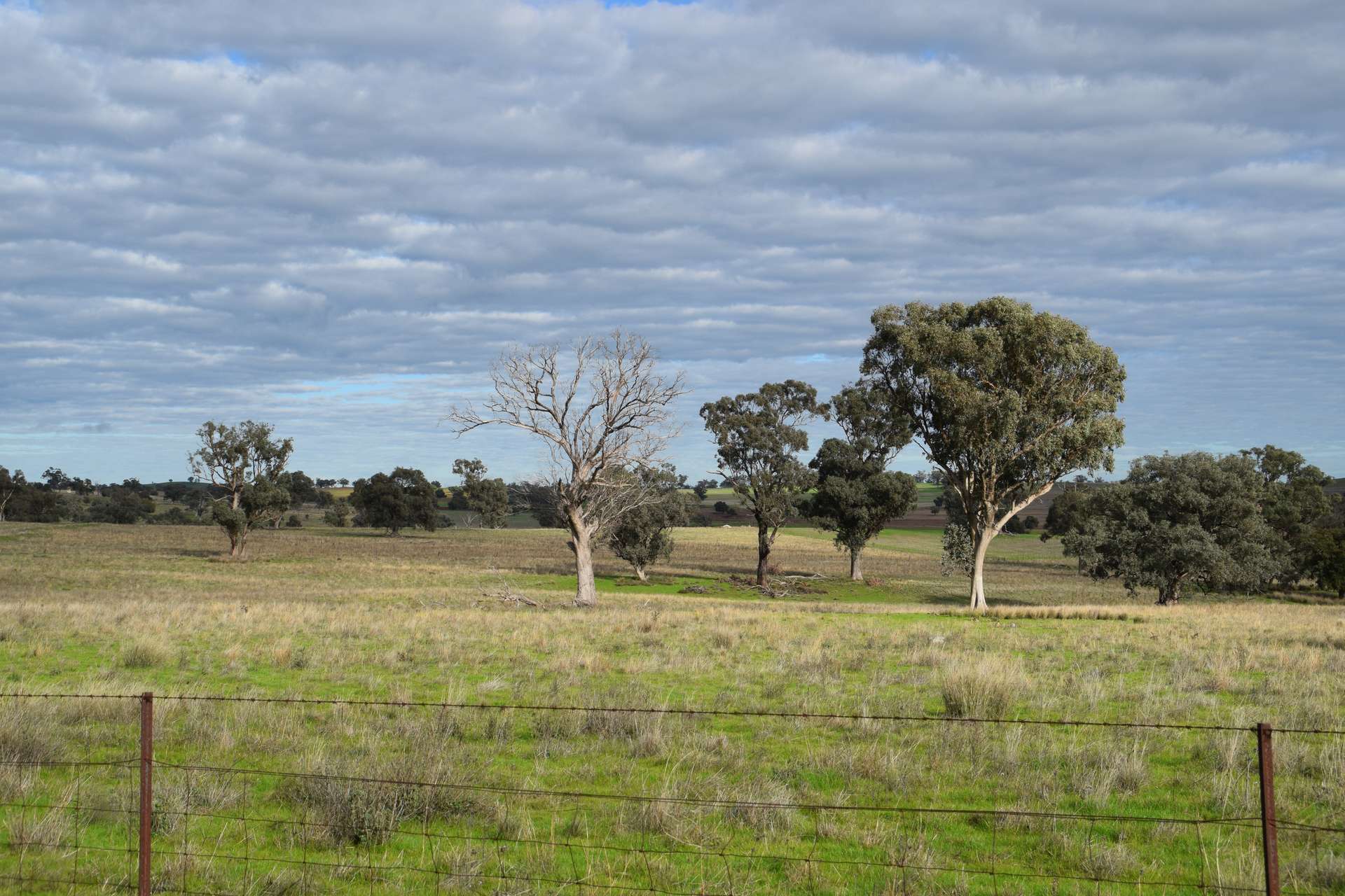 'Ridgeview' 632 Curra Creek Road, Curra Creek For Sale by Farmbuy.com - image 6
