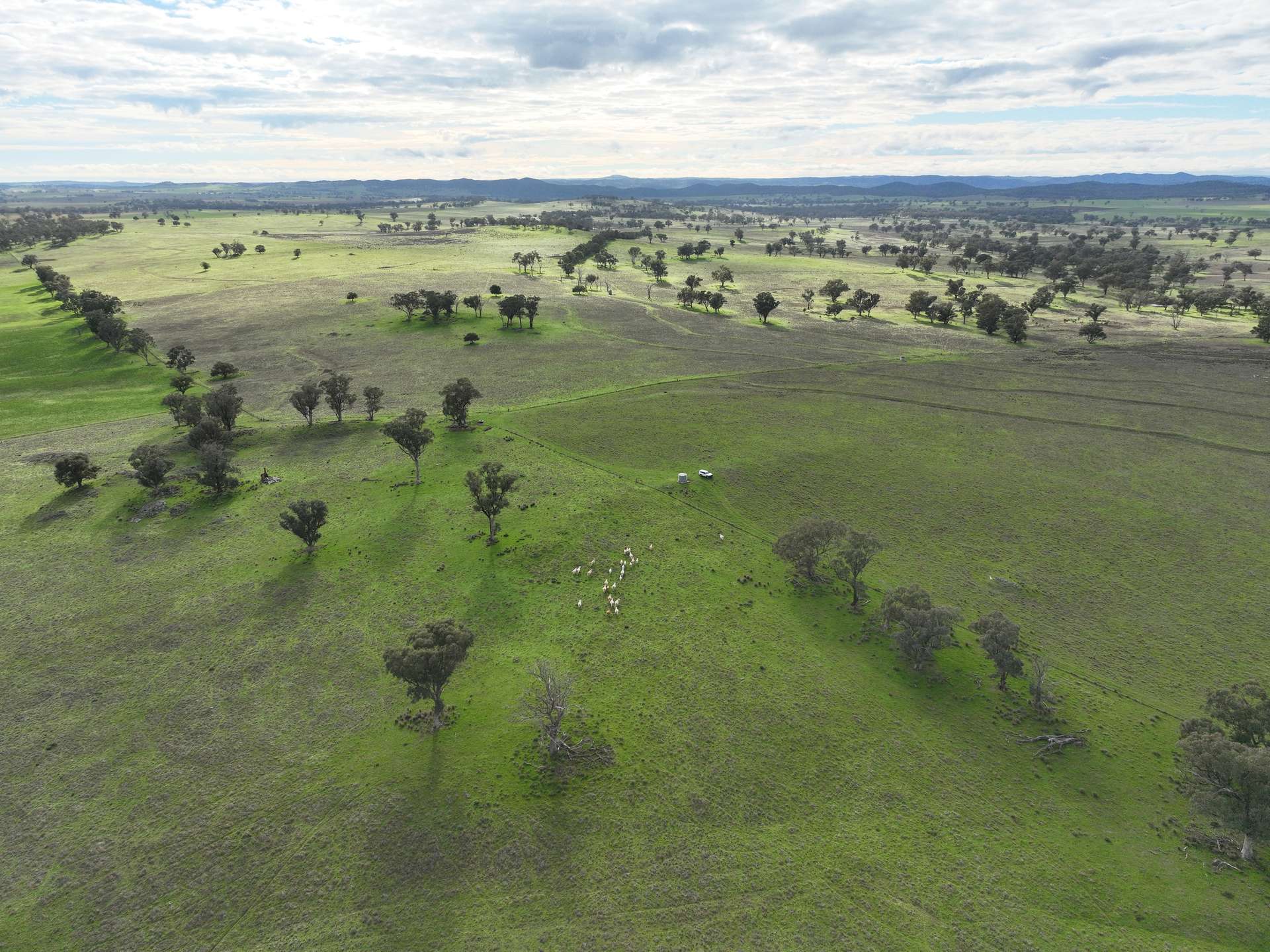 'Ridgeview' 632 Curra Creek Road, Curra Creek For Sale by Farmbuy.com - image 23