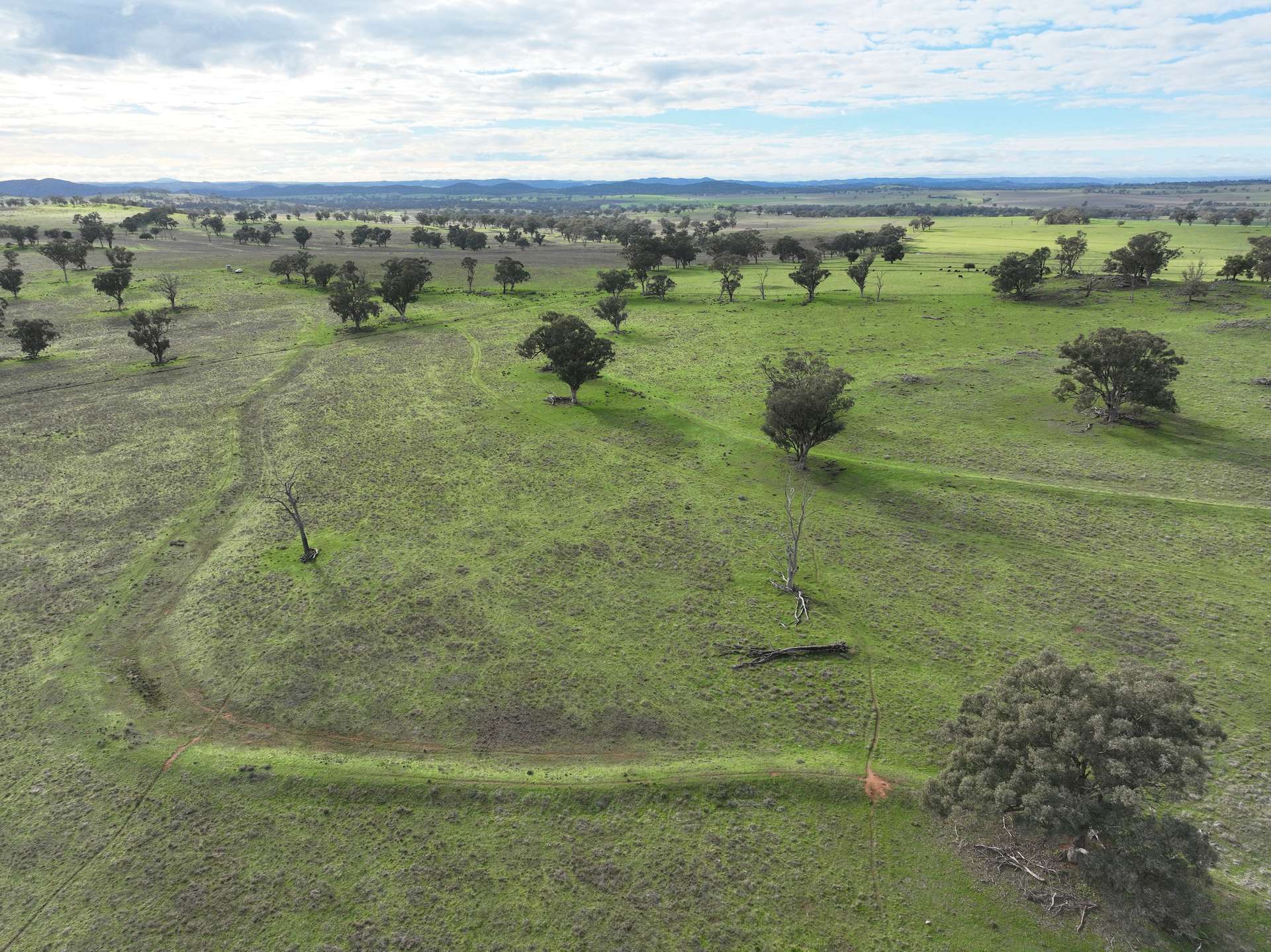 'Ridgeview' 632 Curra Creek Road, Curra Creek For Sale by Farmbuy.com - image 16