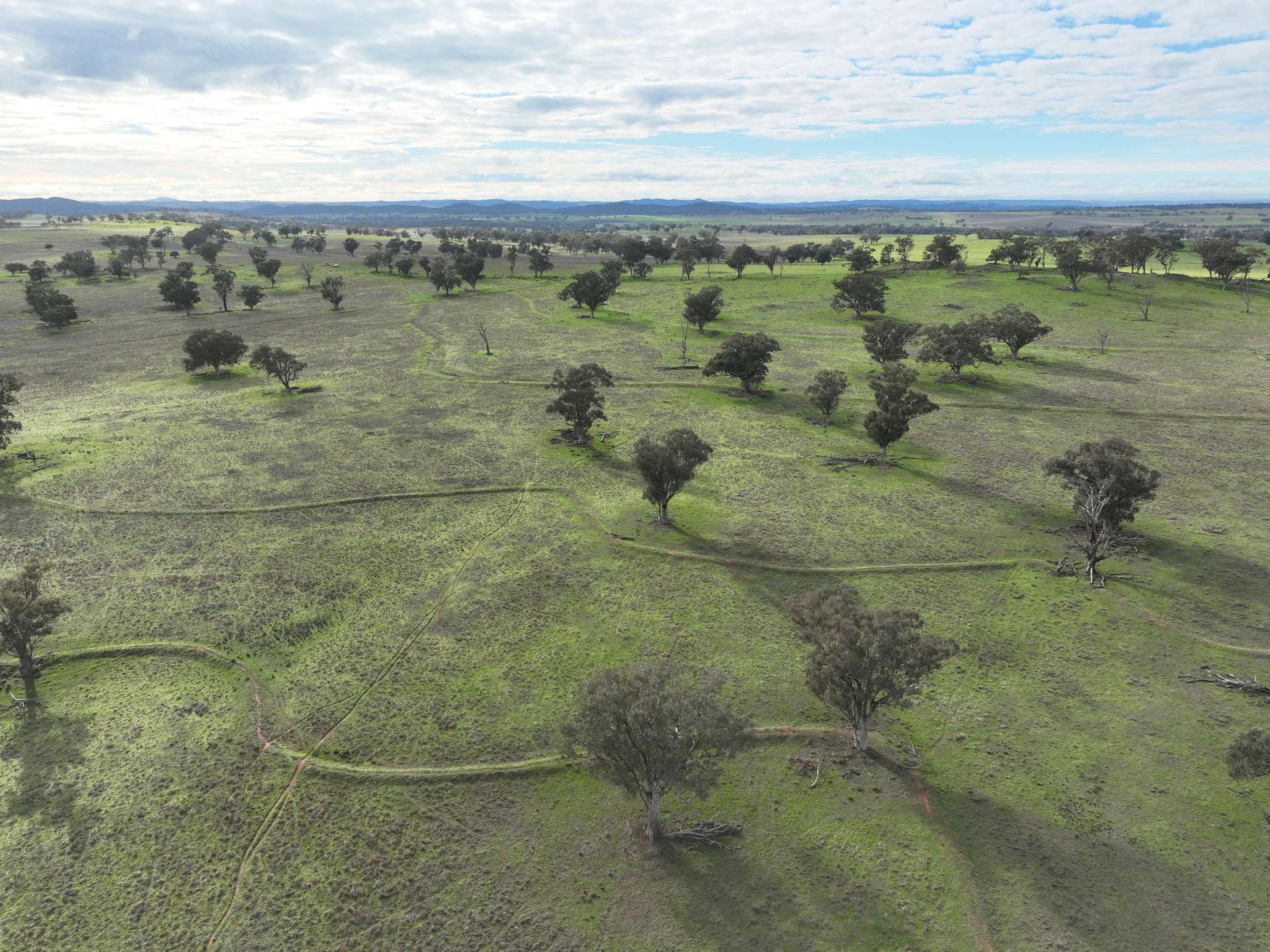 'Ridgeview' 632 Curra Creek Road, Curra Creek For Sale by Farmbuy.com - image 15