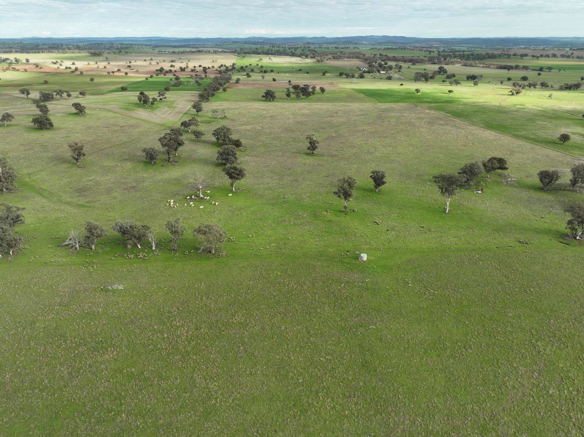 'Ridgeview' 632 Curra Creek Road, Curra Creek For Sale by Farmbuy.com - image 21