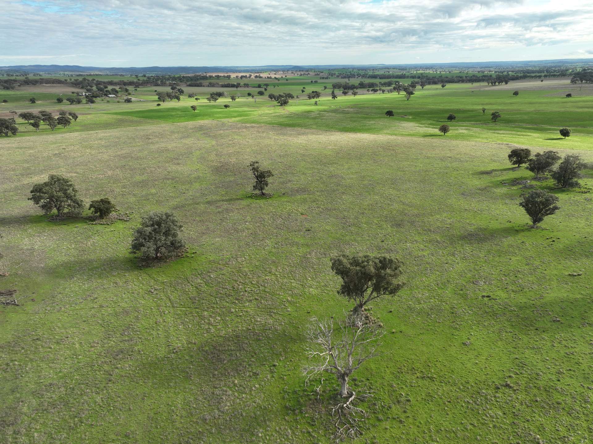 'Ridgeview' 632 Curra Creek Road, Curra Creek For Sale by Farmbuy.com - image 9