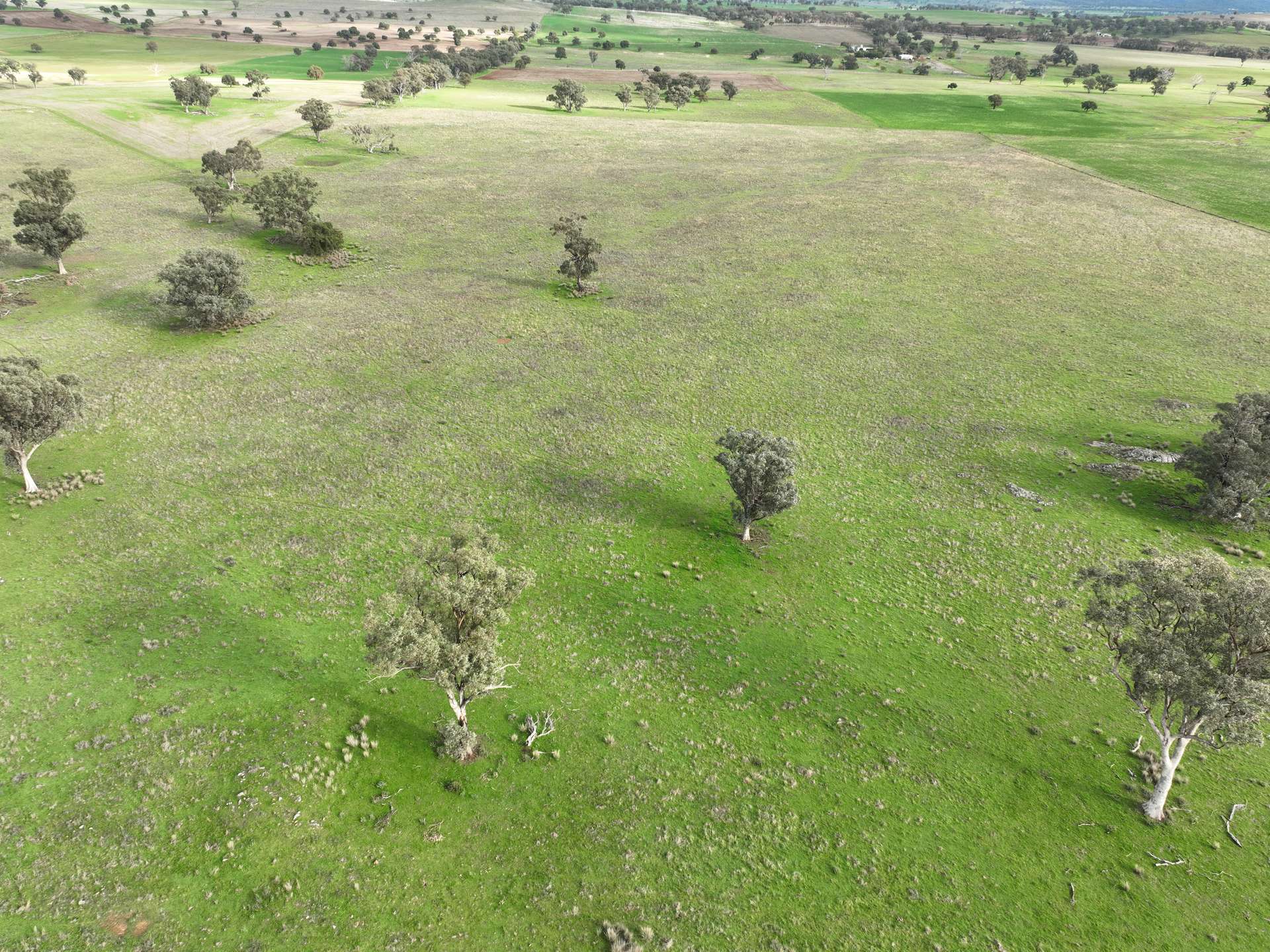 'Ridgeview' 632 Curra Creek Road, Curra Creek For Sale by Farmbuy.com - image 28