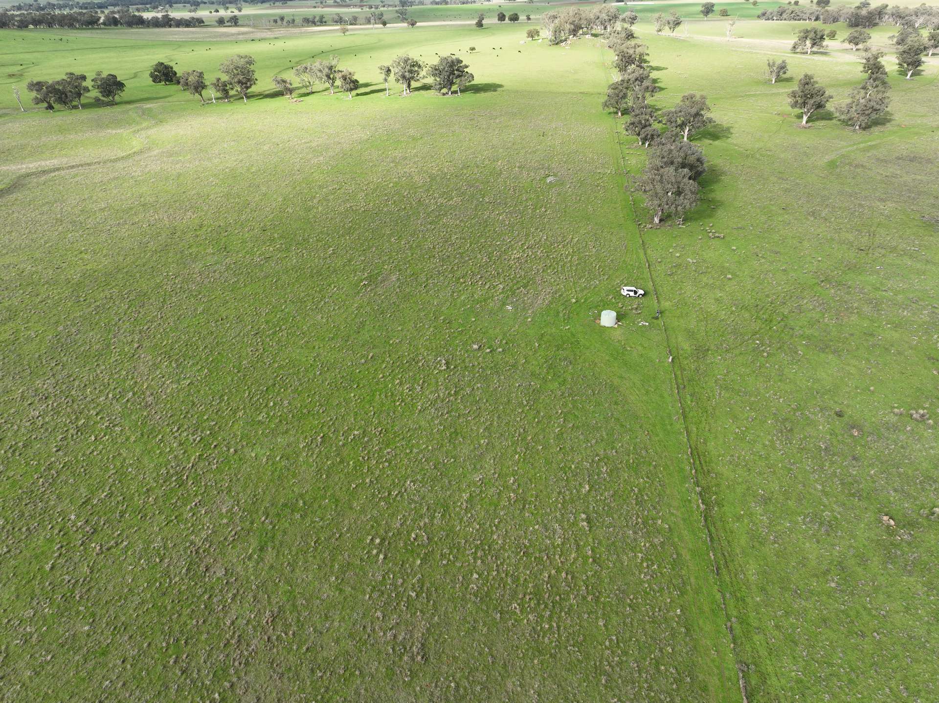 'Ridgeview' 632 Curra Creek Road, Curra Creek For Sale by Farmbuy.com - image 13