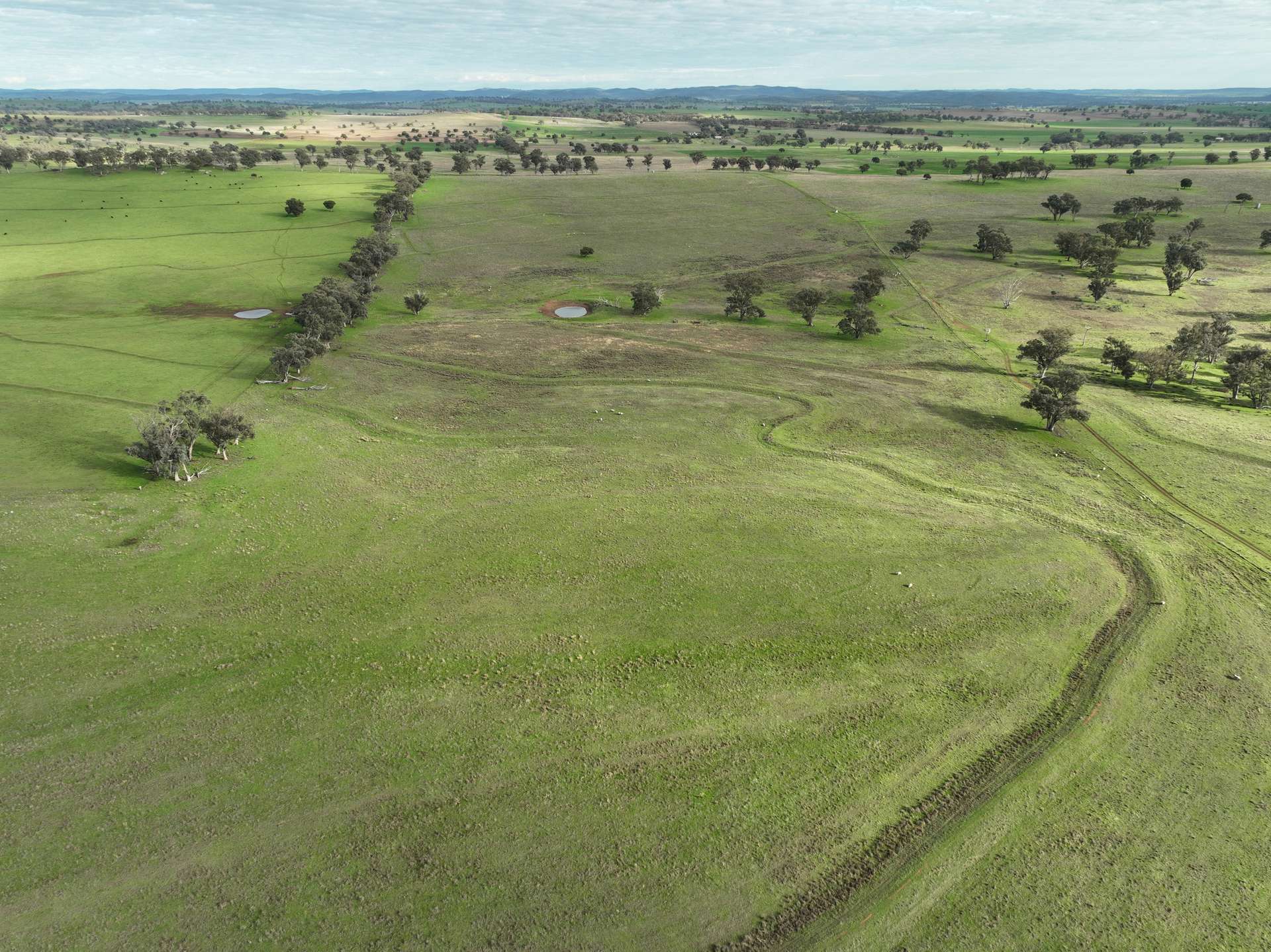 'Ridgeview' 632 Curra Creek Road, Curra Creek For Sale by Farmbuy.com - image 19
