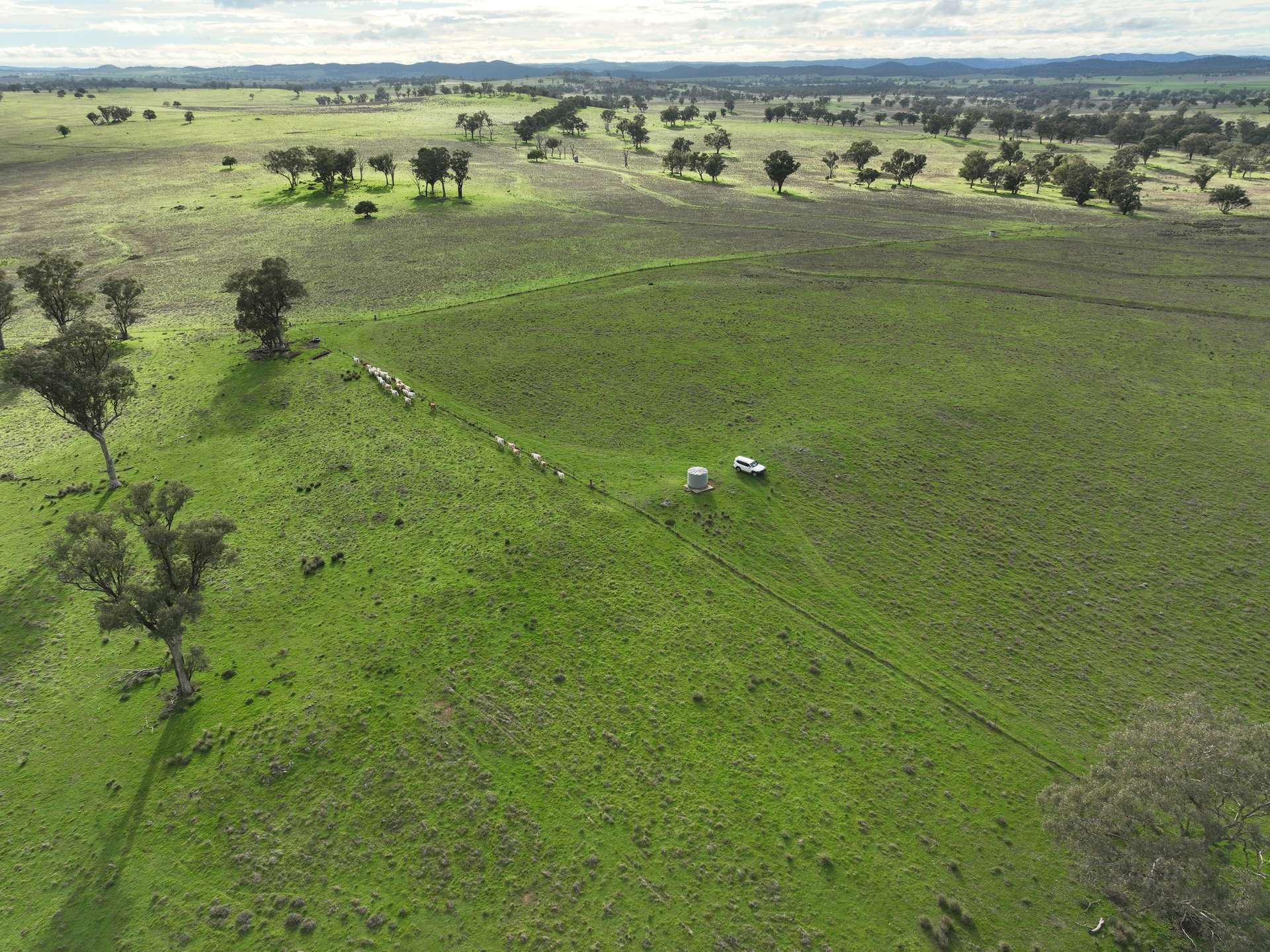 'Ridgeview' 632 Curra Creek Road, Curra Creek For Sale by Farmbuy.com - image 24