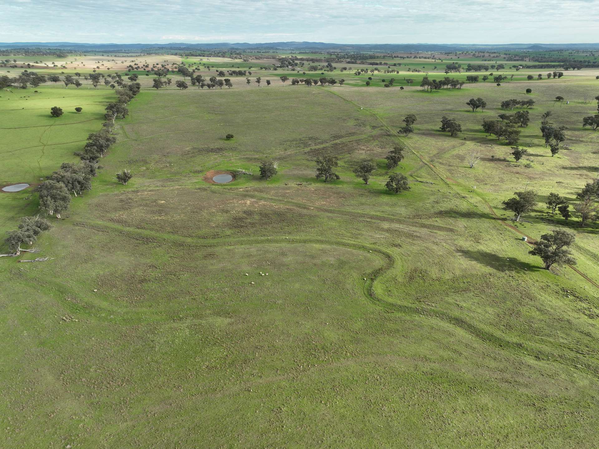 'Ridgeview' 632 Curra Creek Road, Curra Creek For Sale by Farmbuy.com - image 20