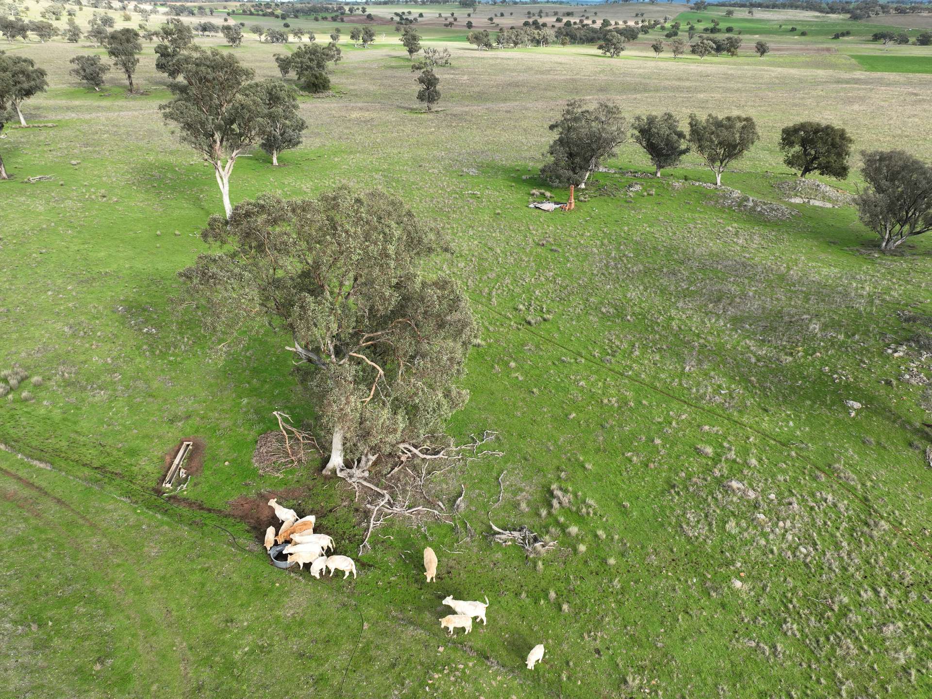 'Ridgeview' 632 Curra Creek Road, Curra Creek For Sale by Farmbuy.com - image 27