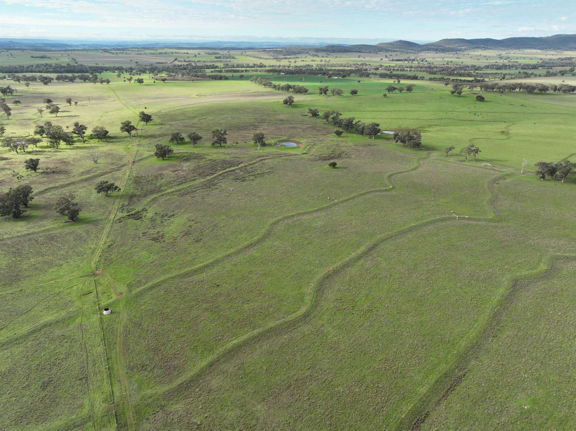 'Ridgeview' 632 Curra Creek Road, Curra Creek For Sale by Farmbuy.com - image 22