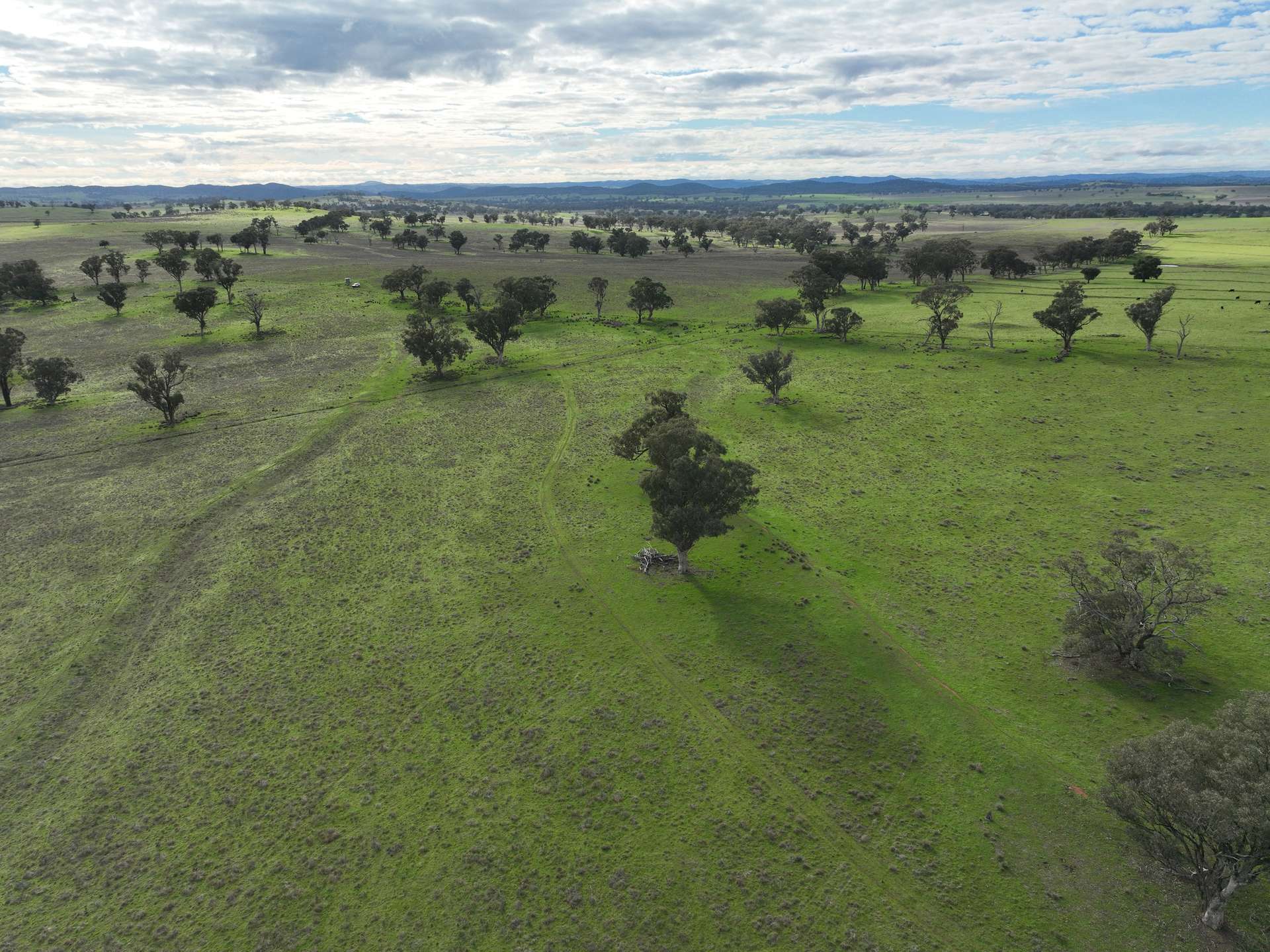 'Ridgeview' 632 Curra Creek Road, Curra Creek For Sale by Farmbuy.com - image 17