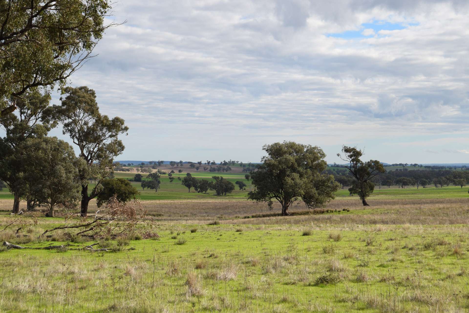'Ridgeview' 632 Curra Creek Road, Curra Creek For Sale by Farmbuy.com - image 7