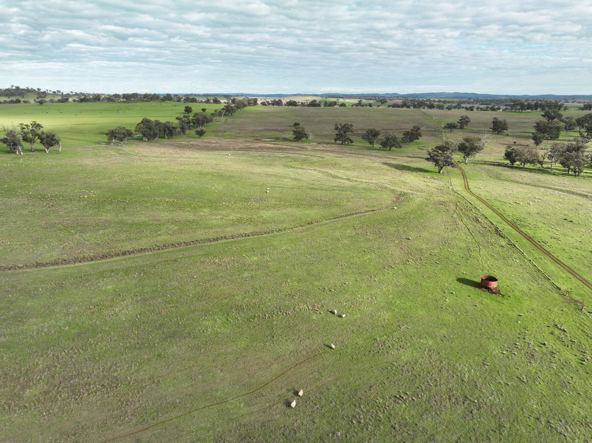 'Ridgeview' 632 Curra Creek Road, Curra Creek For Sale by Farmbuy.com - image 18