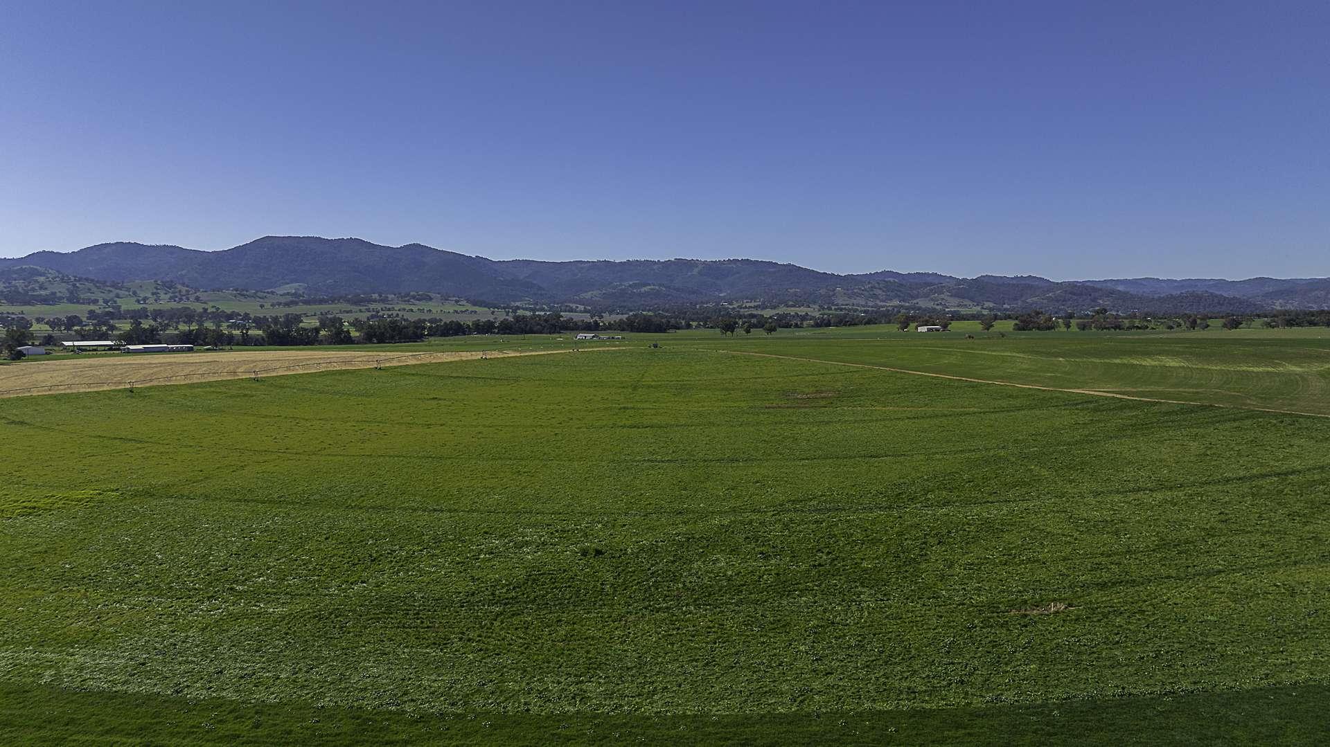241 Loomberah Road, Tamworth For Sale by Farmbuy.com - image 33