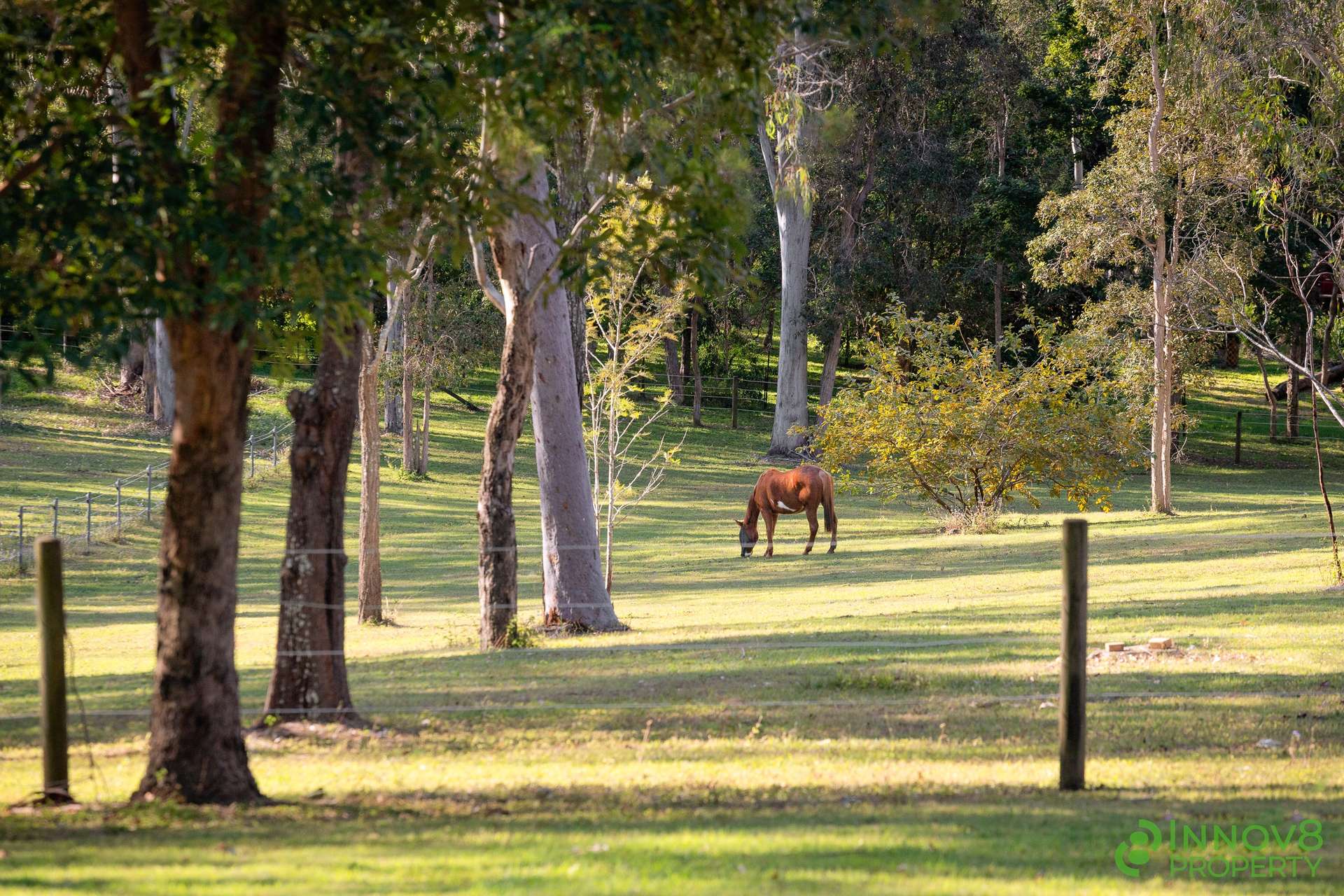 62 Vores Road, Whiteside For Sale by Farmbuy.com - image 35