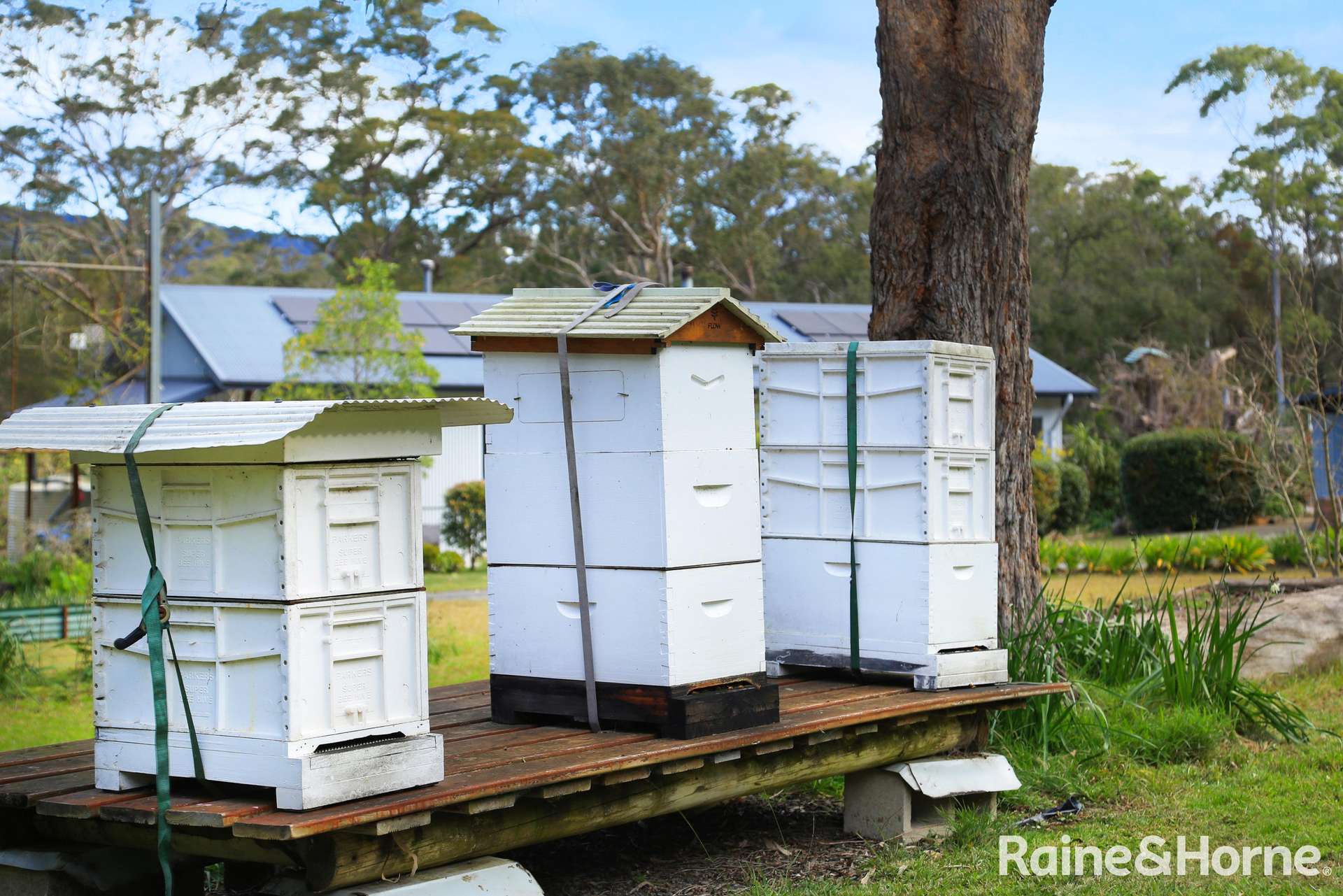 139 Bendeela Road, Kangaroo Valley For Sale by Farmbuy.com - image 33