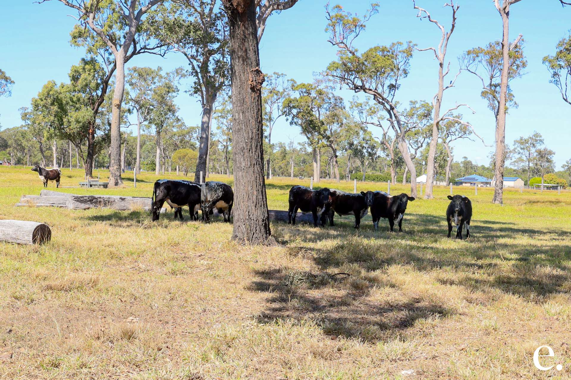 111 Preston Road, Adelaide Park For Sale by Farmbuy.com - image 3
