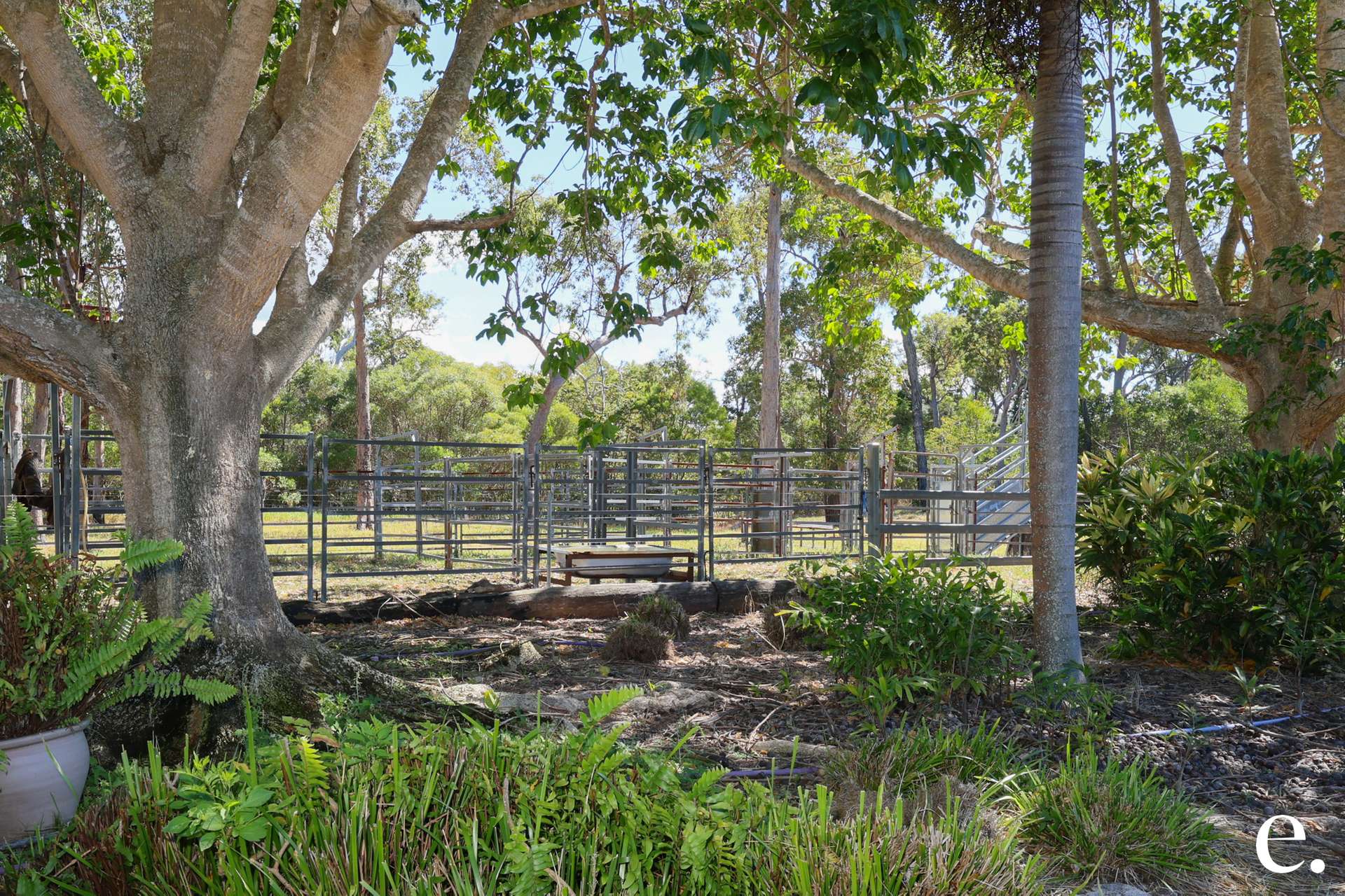 111 Preston Road, Adelaide Park For Sale by Farmbuy.com - image 4