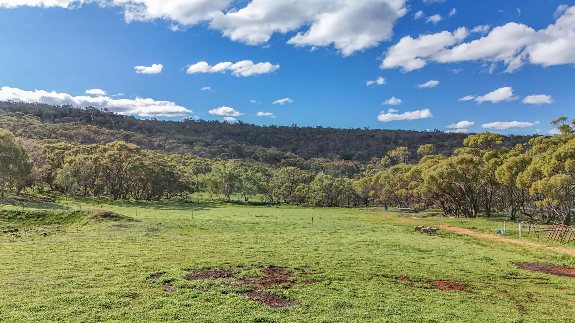 716 Julimar Road, West Toodyay For Sale by Farmbuy.com - image 14