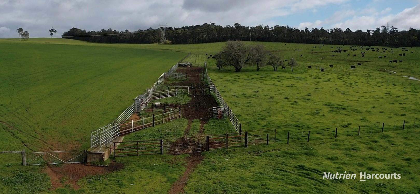 2741 Coalfields Road, Allanson For Sale by Farmbuy.com - image 12