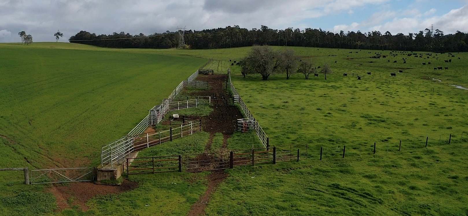 2741 Coalfields Road, Allanson For Sale by Farmbuy.com - image 20