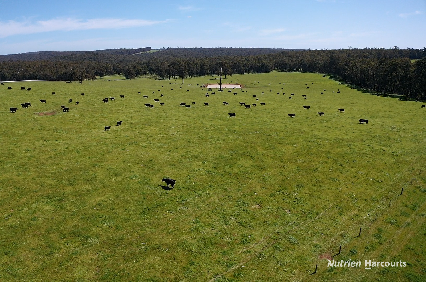 2741 Coalfields Road, Allanson For Sale by Farmbuy.com - image 17