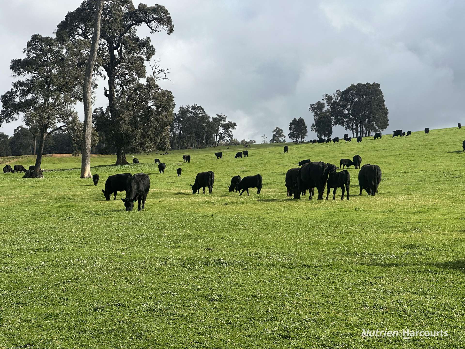 2741 Coalfields Road, Allanson For Sale by Farmbuy.com - image 7