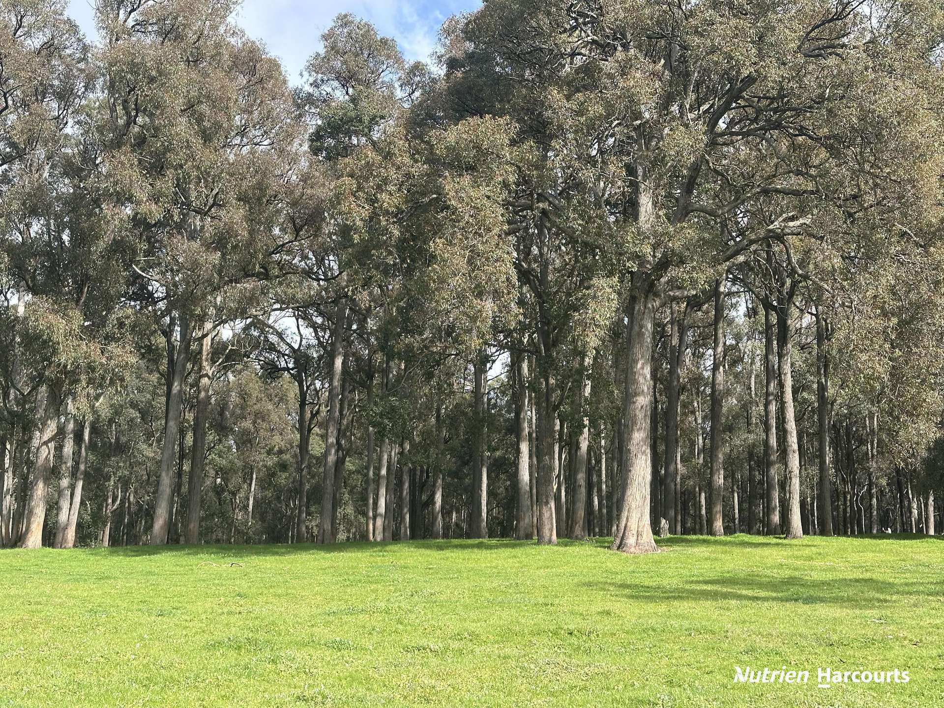 2741 Coalfields Road, Allanson For Sale by Farmbuy.com - image 7