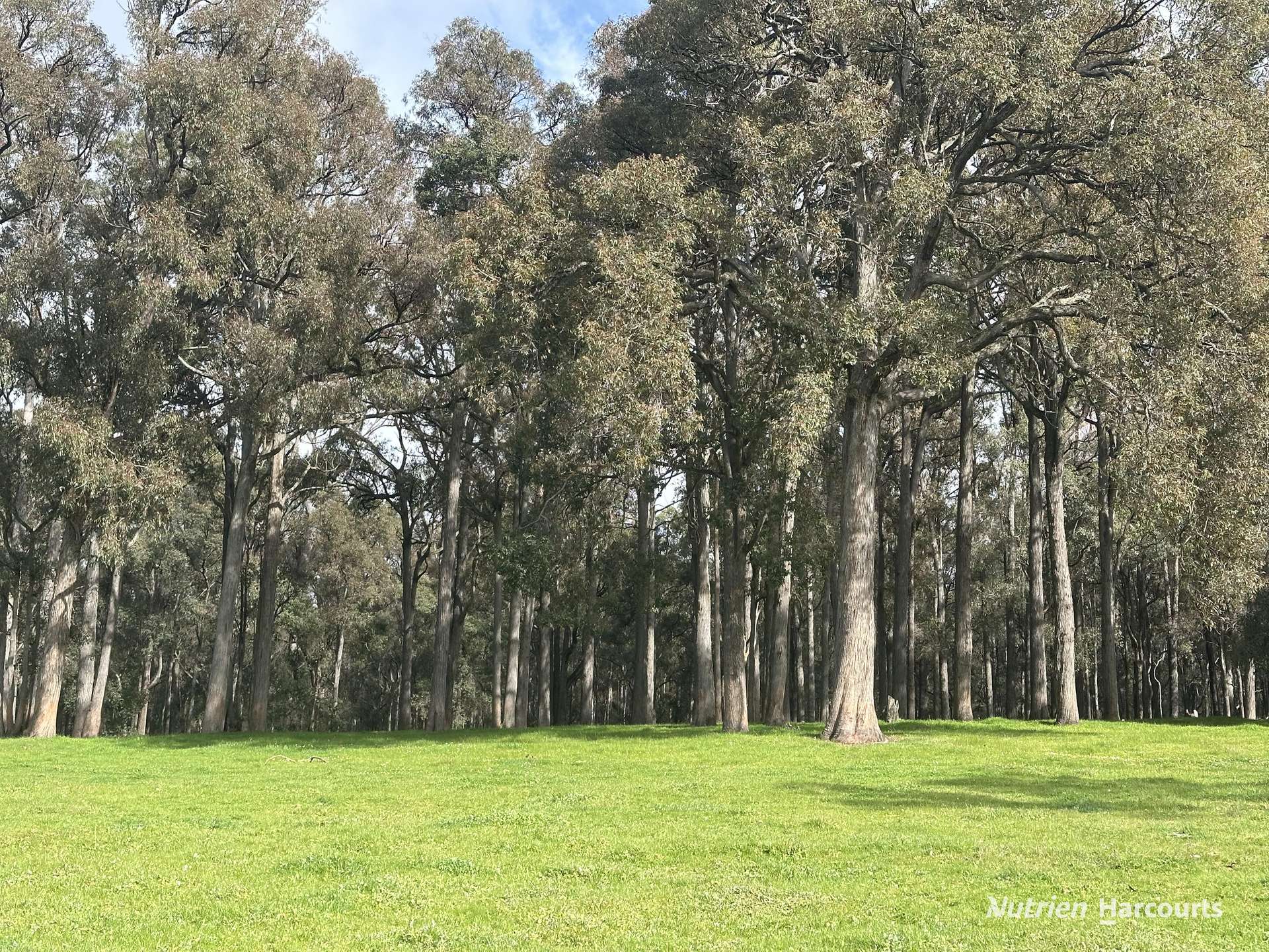 2741 Coalfields Road, Allanson For Sale by Farmbuy.com - image 5