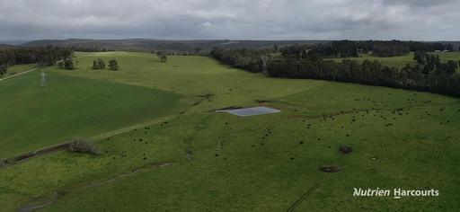 2741 Coalfields Road, Allanson WA 6225