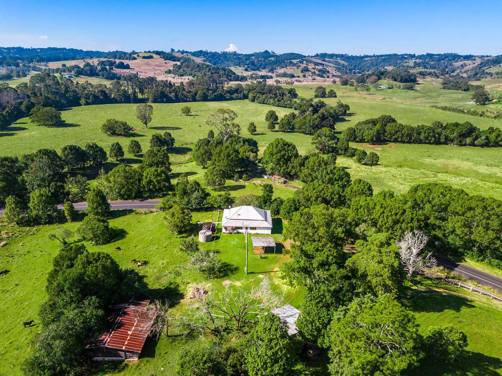 304 Eltham Road, Eltham For Sale by Farmbuy.com - image 5