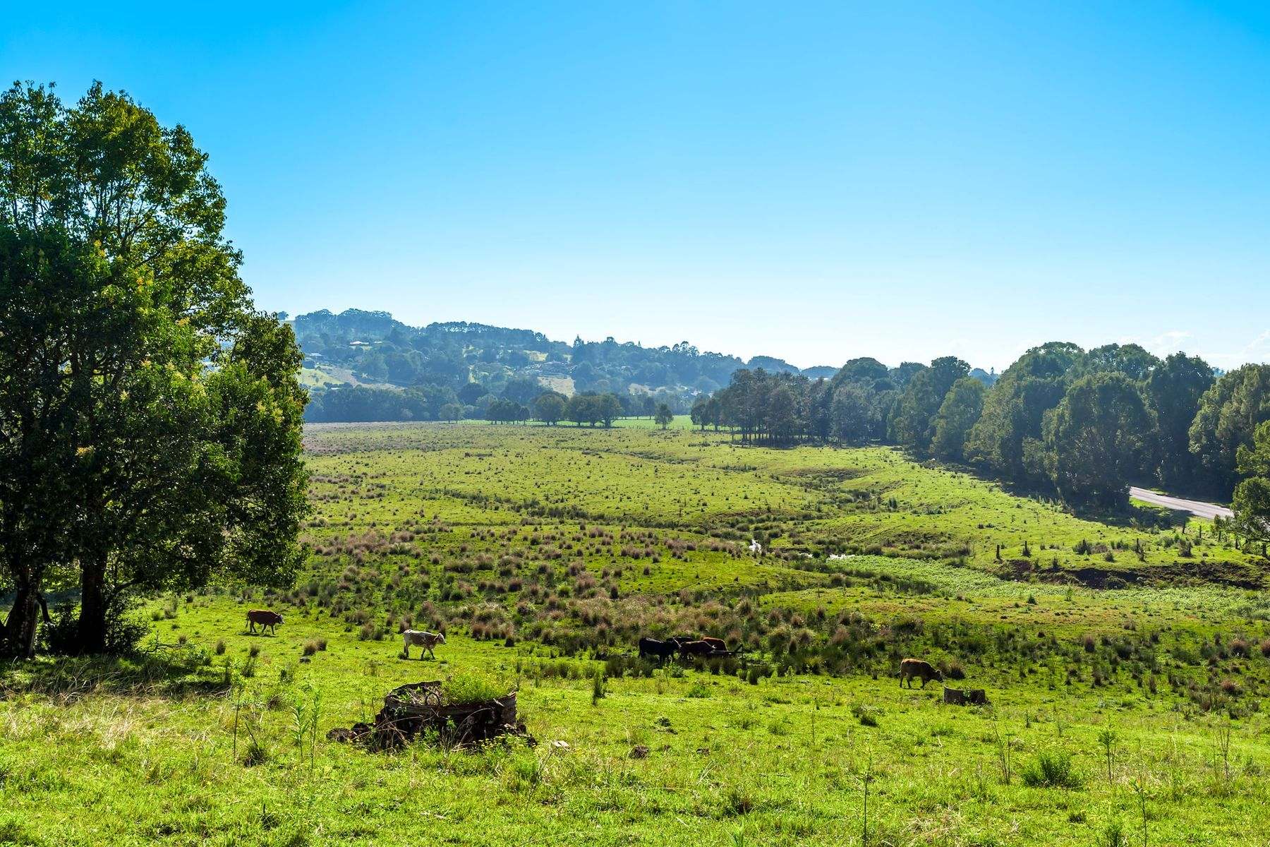 304 Eltham Road, Eltham For Sale by Farmbuy.com - image 17