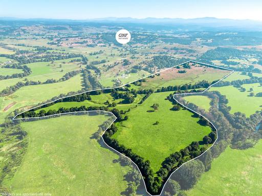 Farm For Sale - NSW - Eltham - 2480 - 100 Acres of Hinterland Beauty, Lifestyle & Income Potential 