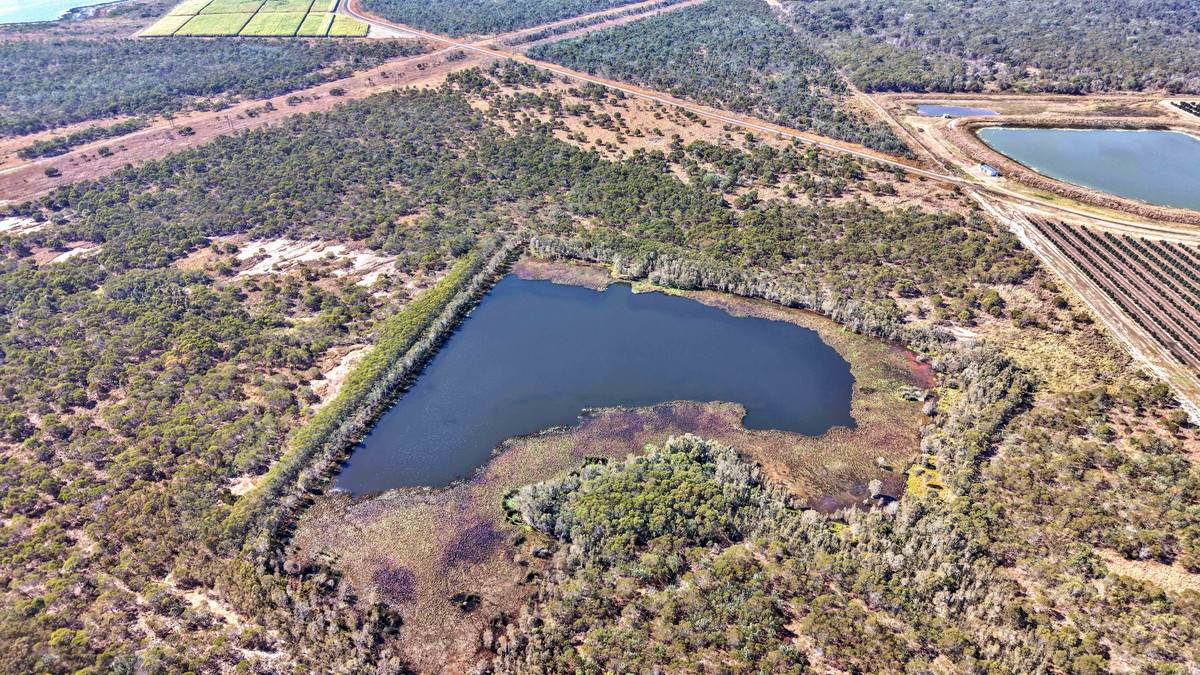 205 Garryowen Road, Redridge For Sale by Farmbuy.com - image 5