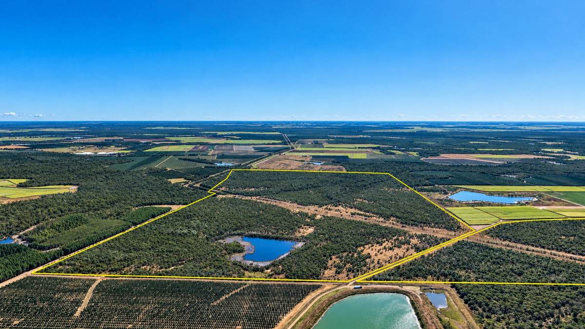 205 Garryowen Road, Redridge For Sale by Farmbuy.com - image 4