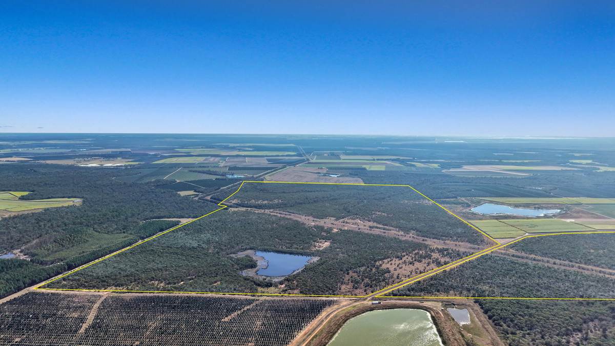 205 Garryowen Road, Redridge For Sale by Farmbuy.com - image 4