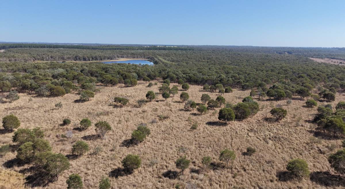 205 Garryowen Road, Redridge For Sale by Farmbuy.com - image 6