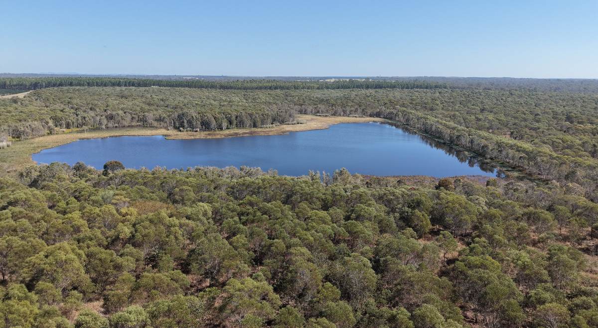 205 Garryowen Road, Redridge For Sale by Farmbuy.com - image 3